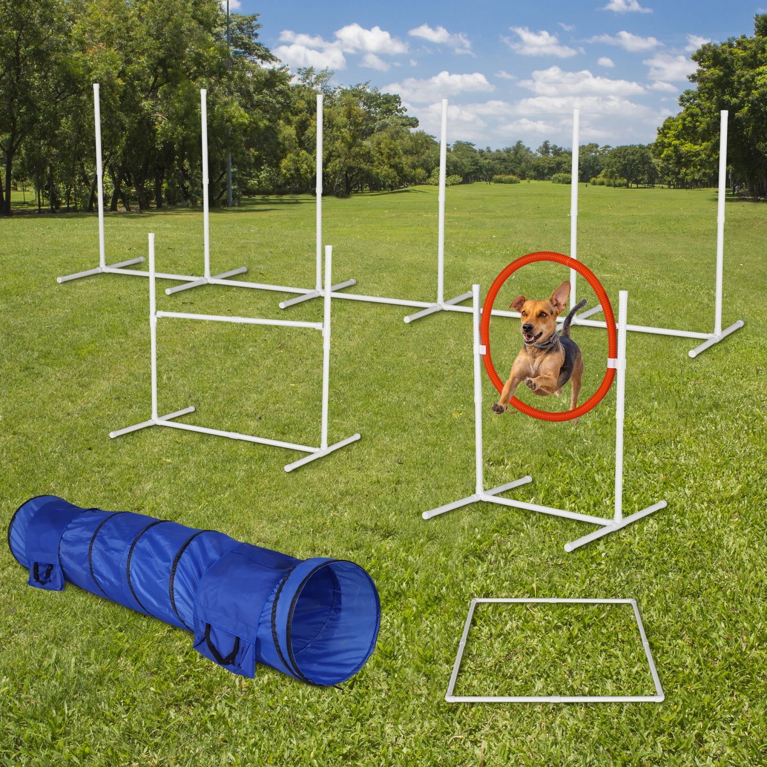 6-Piece White and Blue Dog Agility Training Set