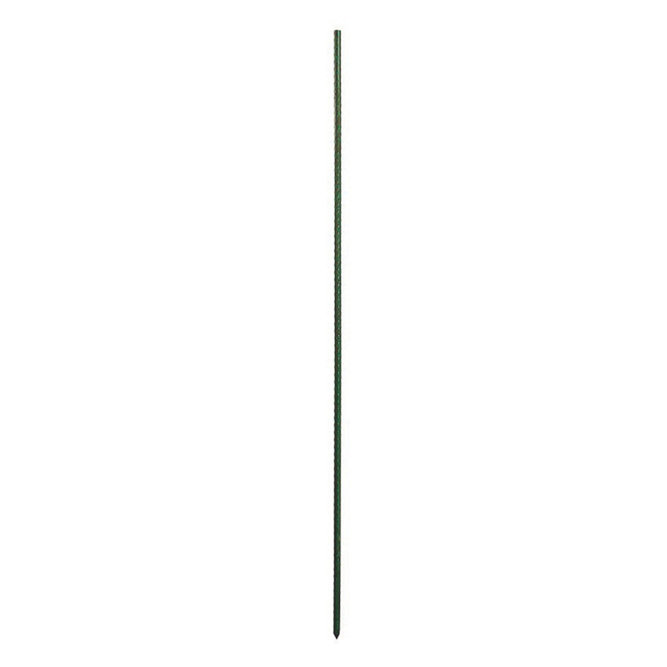 Green 6-Foot Heavy Duty Metal Plant Support Stake