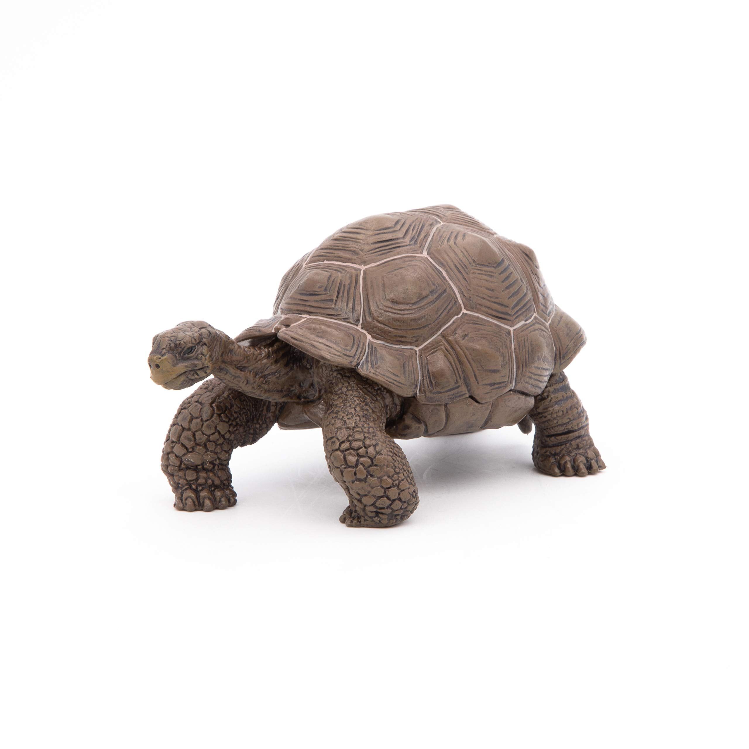 Realistic Brown Galapagos Tortoise Toy Figure