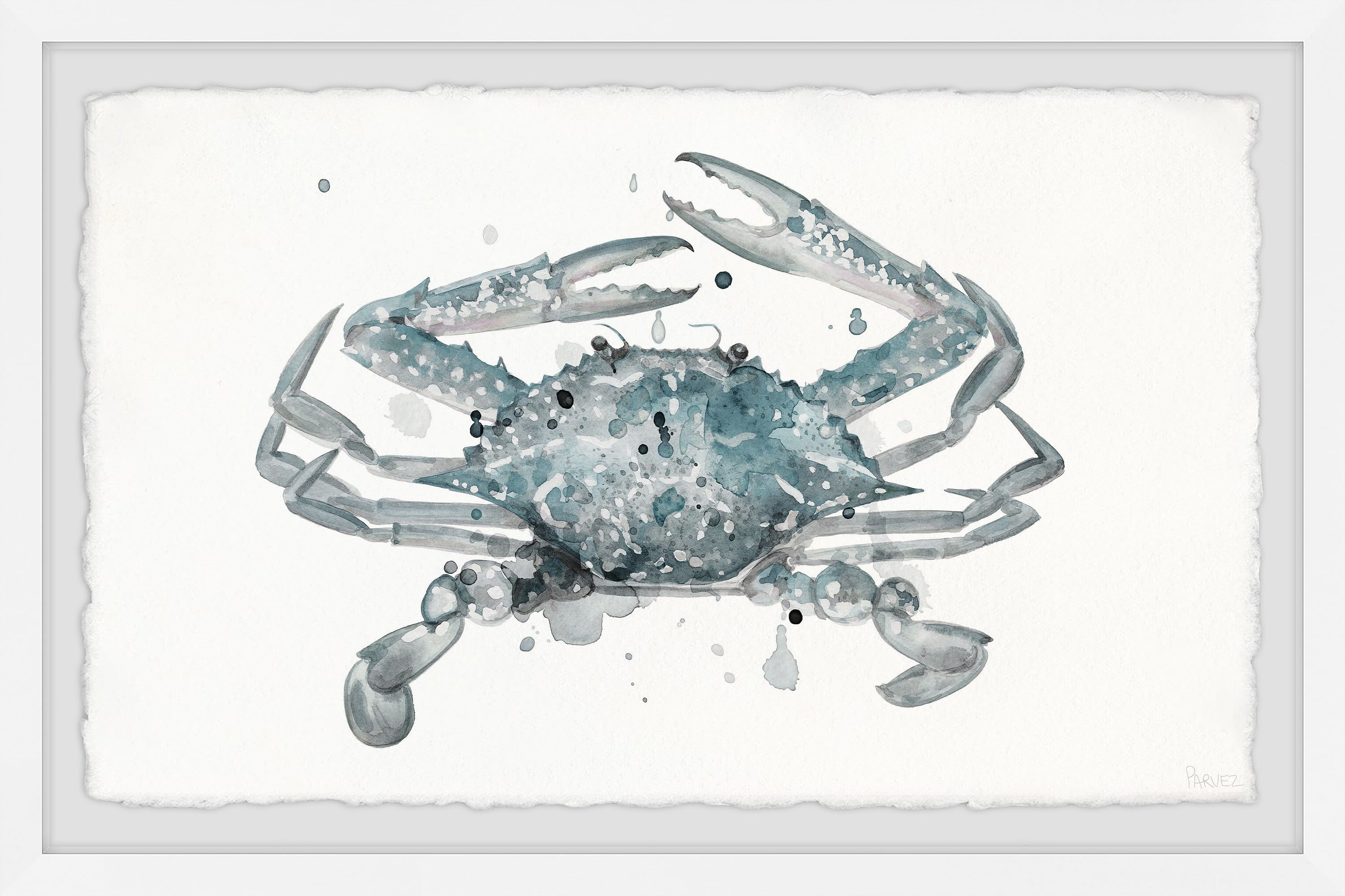 Coastal Blue Crab Canvas Print with White Frame