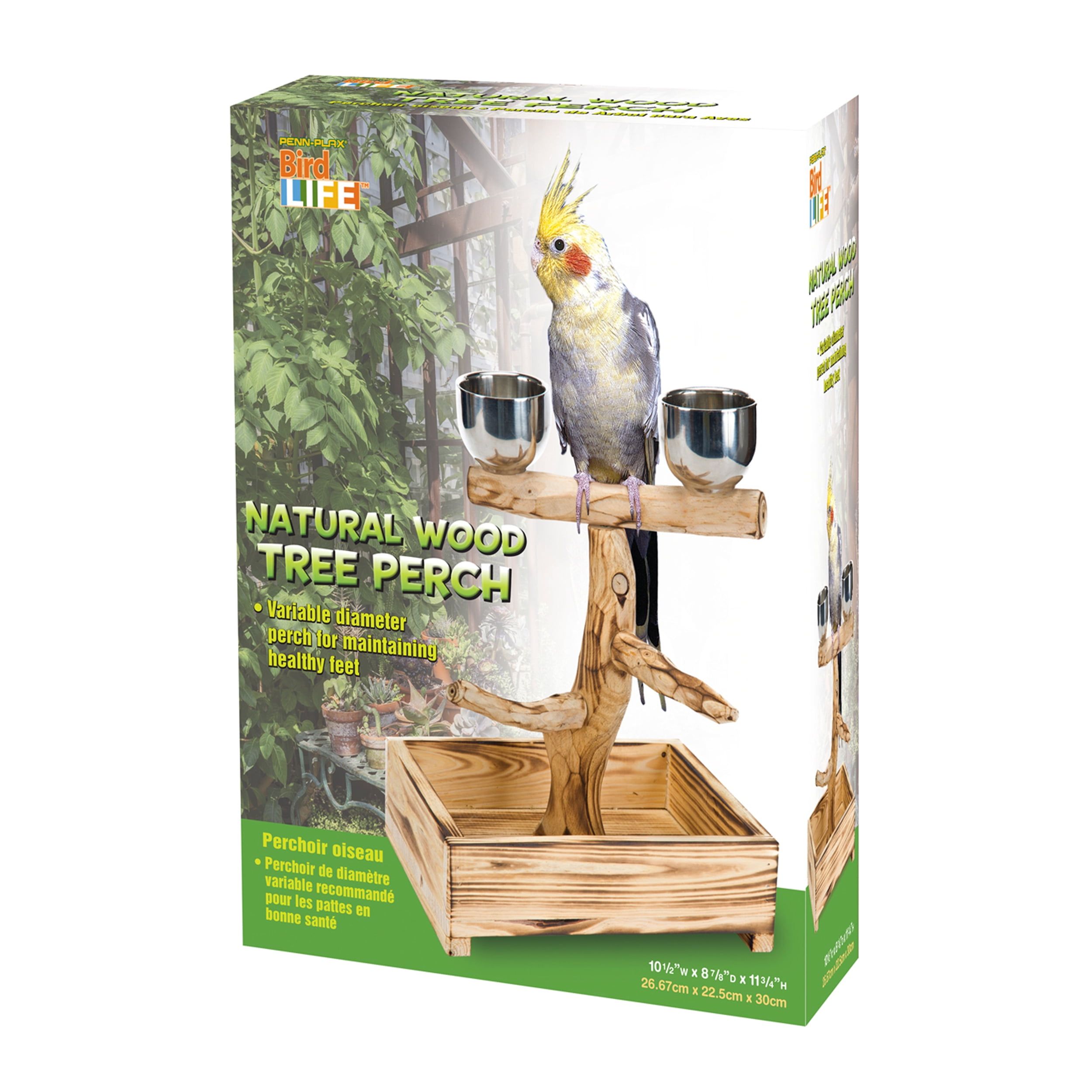 Medium Natural Wood Bird Perch with Stainless Steel Cups