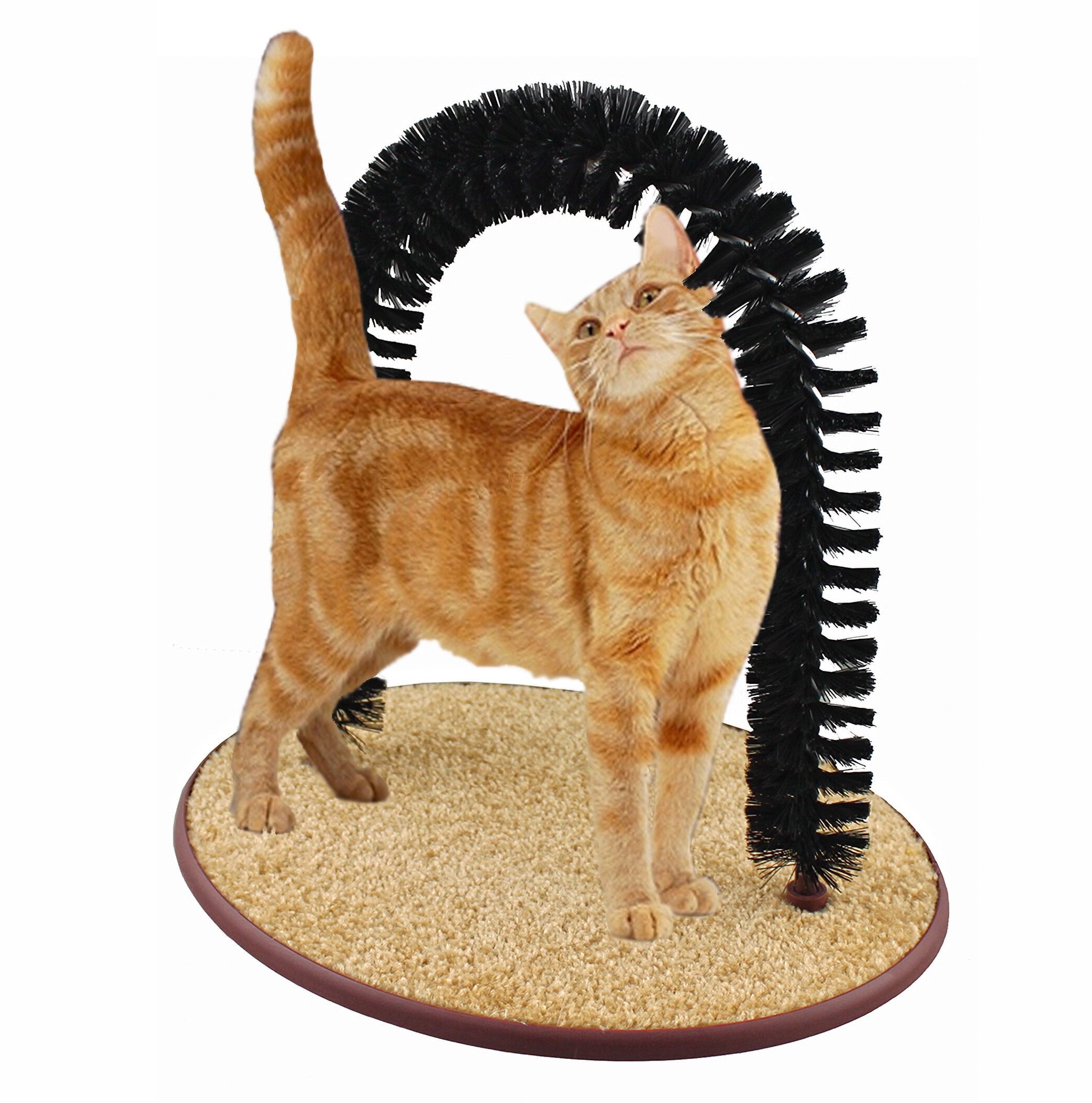 Self-Grooming Cat Arch with Carpet Base and Bristles