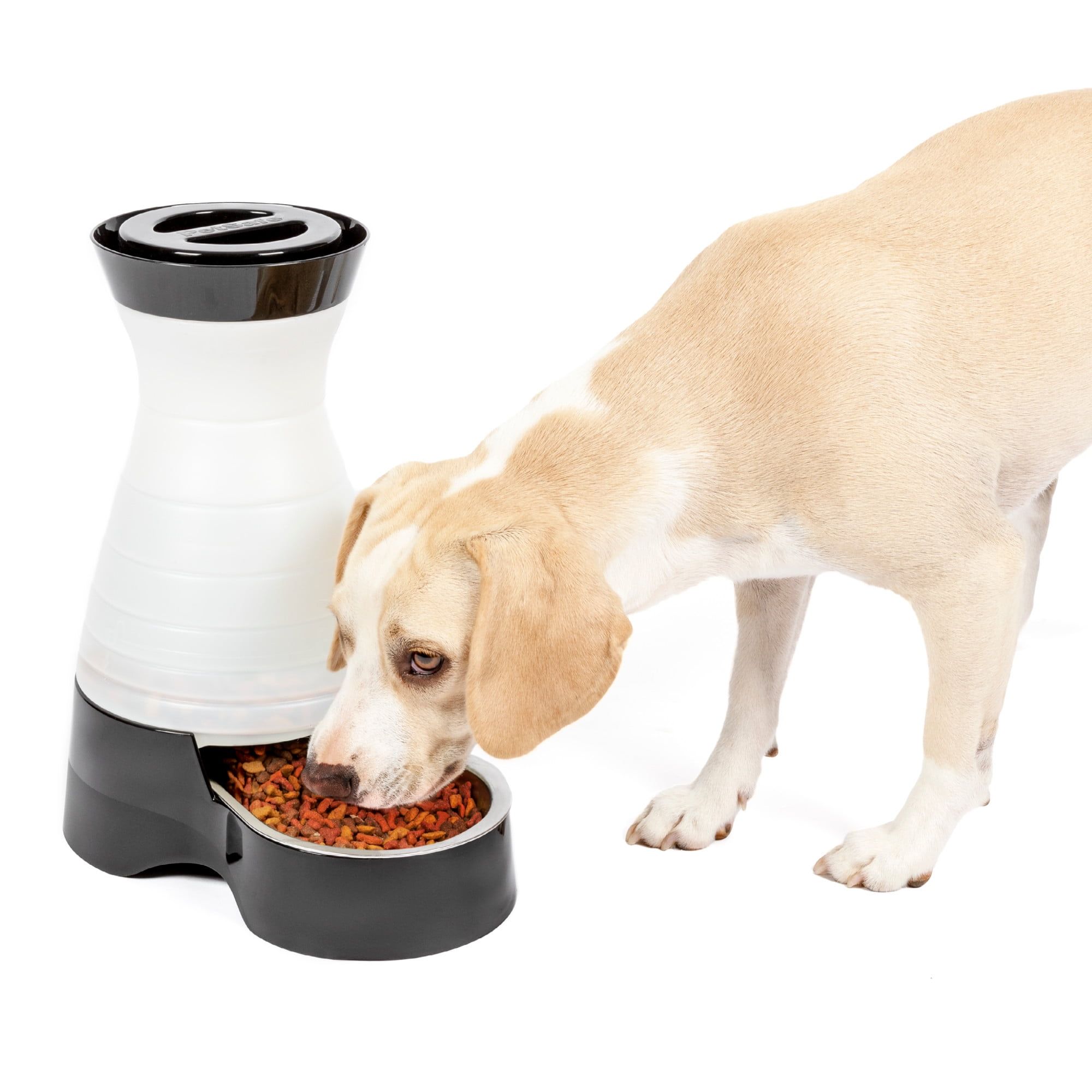 Medium Automatic Stainless Steel Gravity Pet Feeder