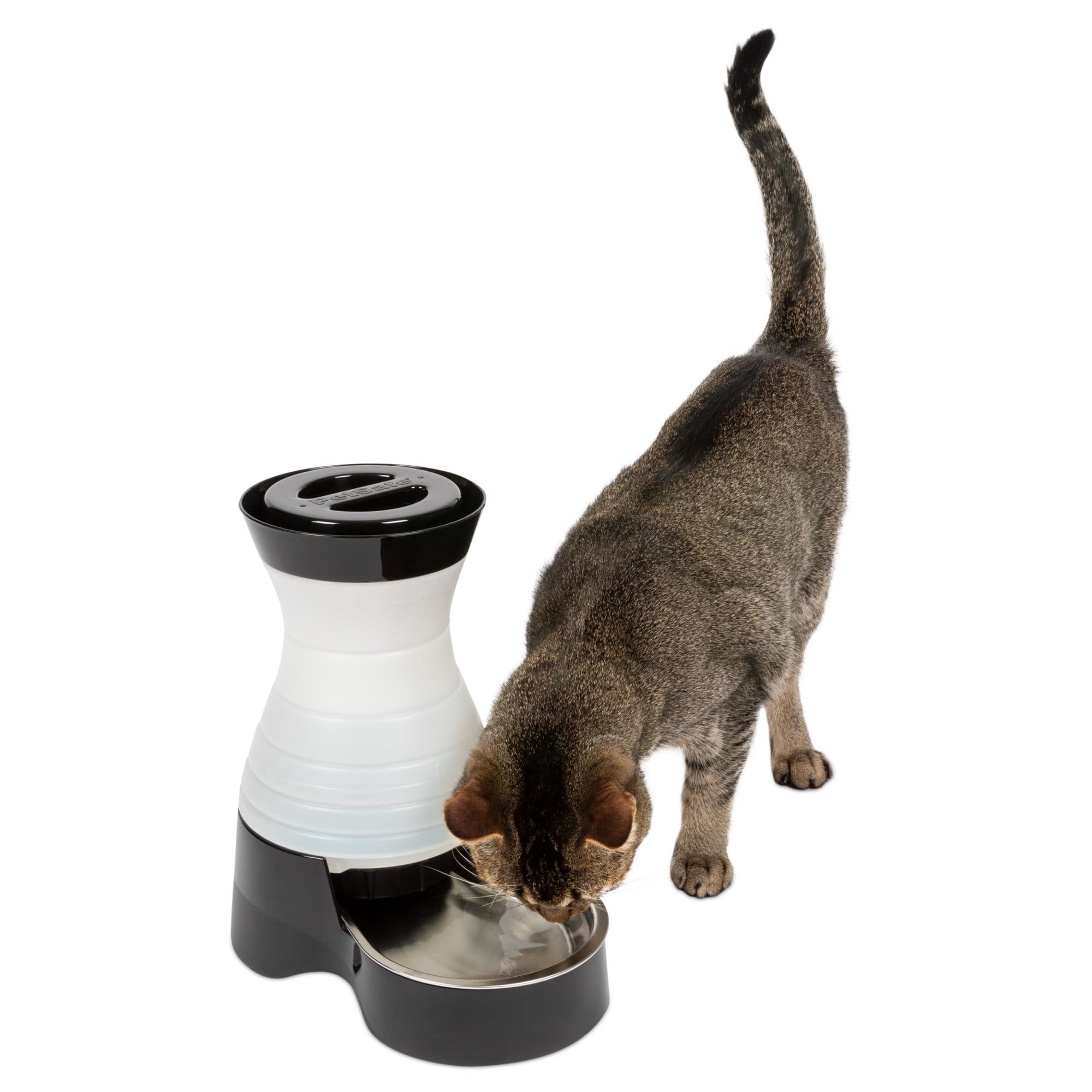 Small Automatic Stainless Steel Pet Water Dispenser