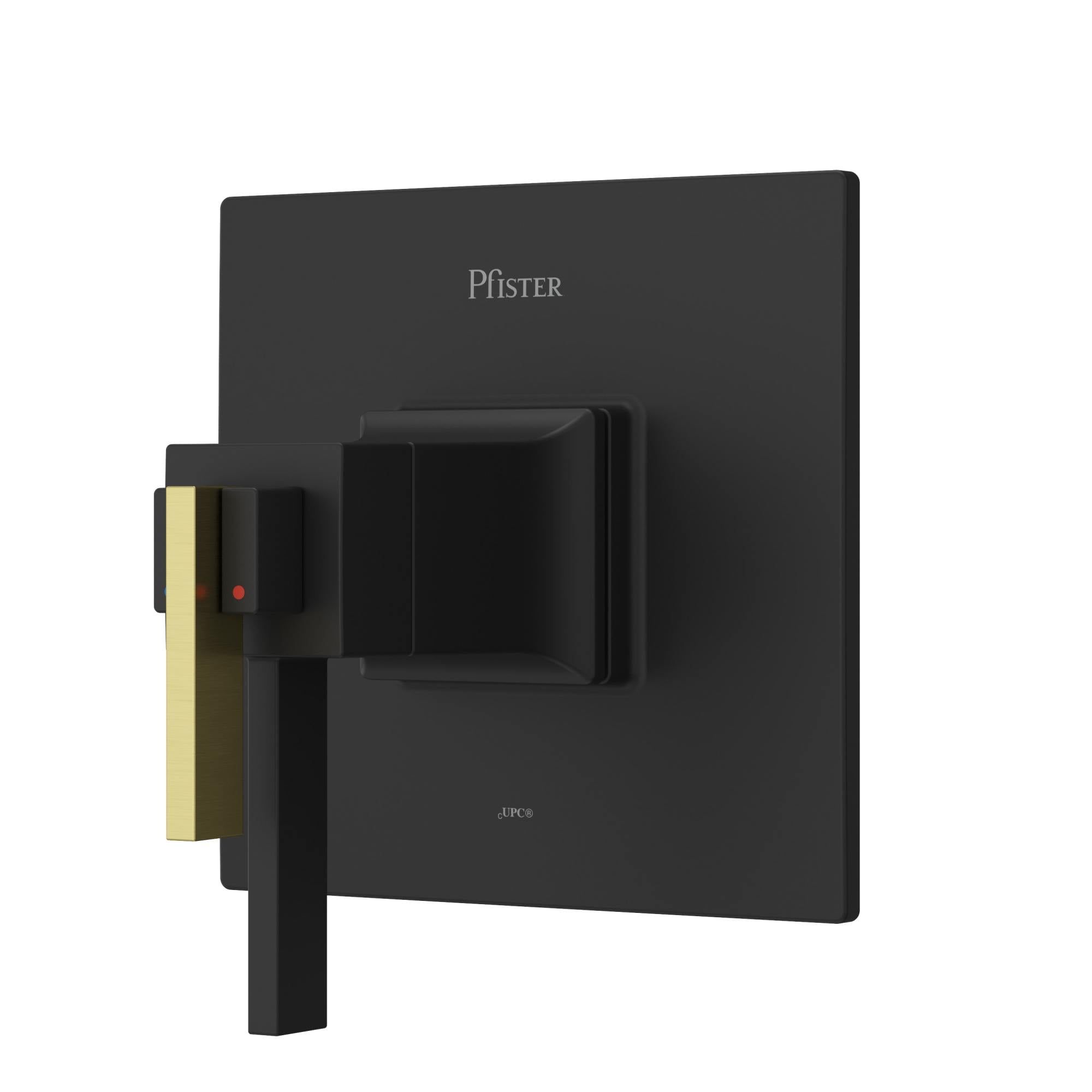 Matte Black Wall-Mounted Thermostatic Valve Trim with Brass Accent