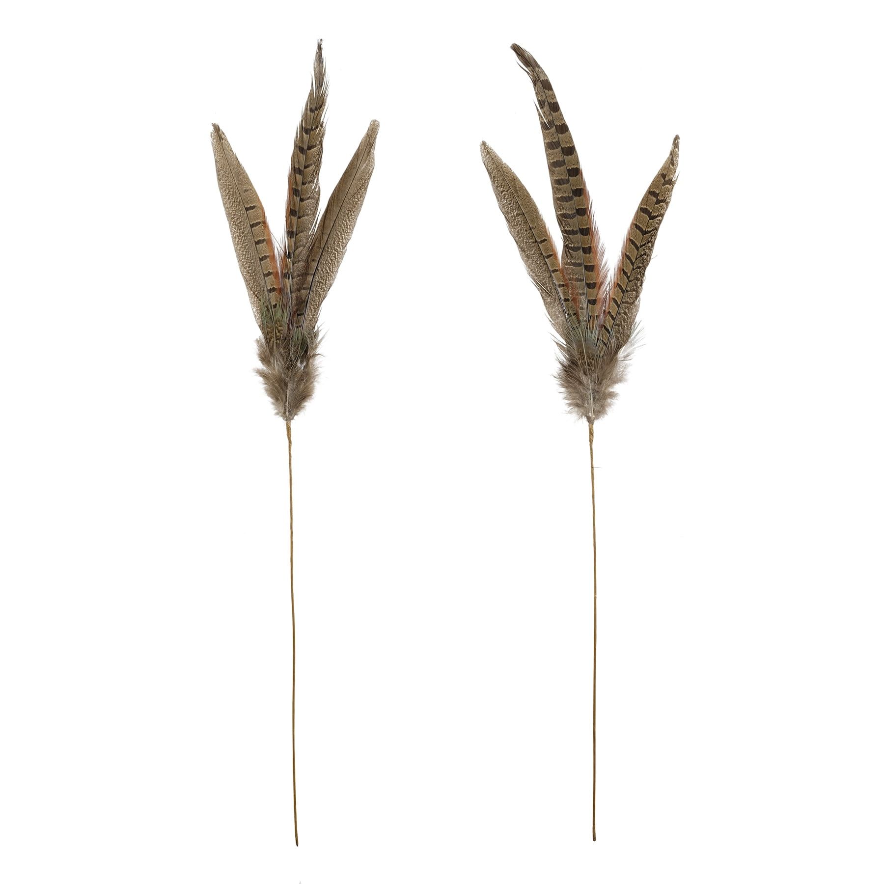 Natural Pheasant Feather Picks for Rustic Decor