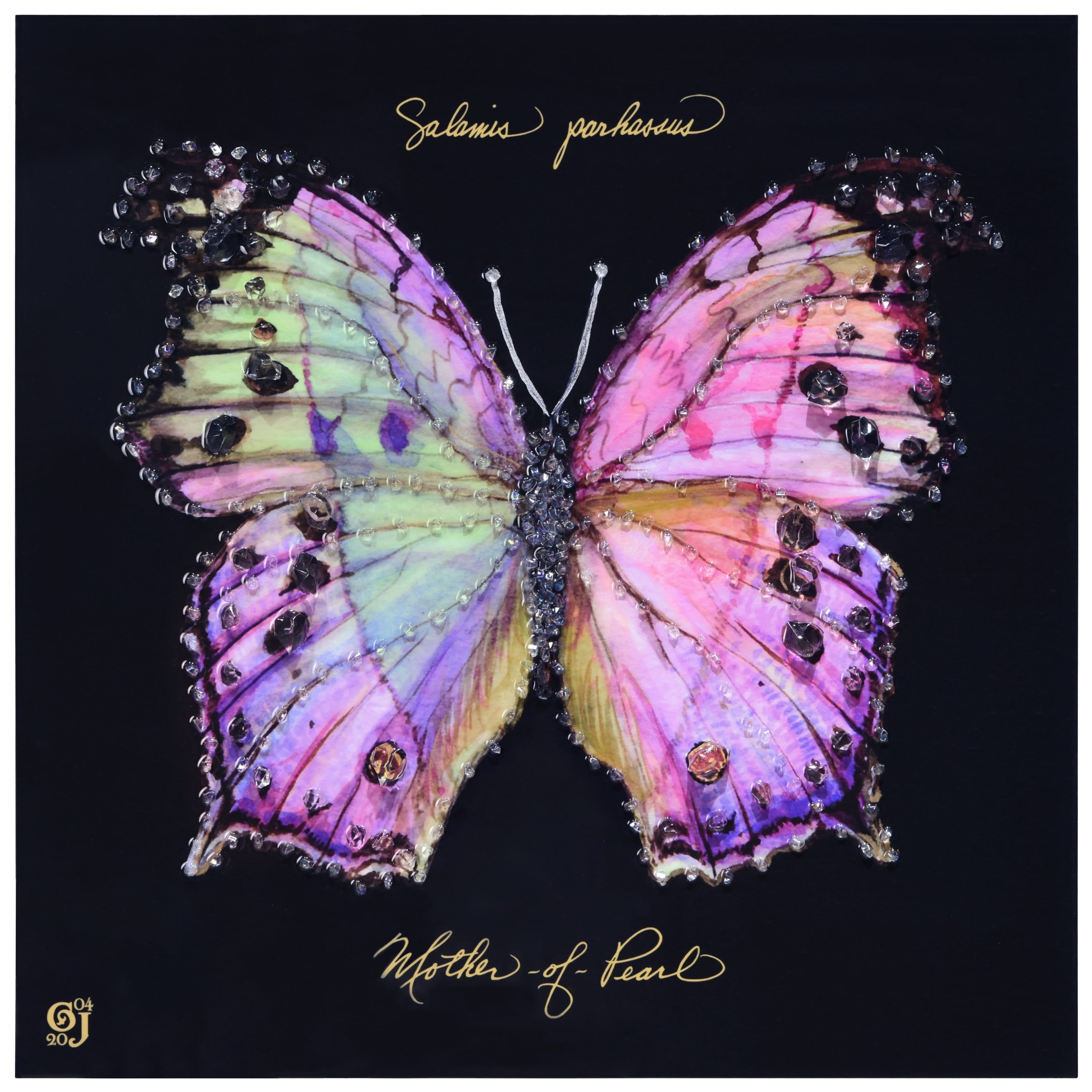 Pink Monarch Elegance 24" x 24" Epoxy Coated Butterfly Canvas Wall Art