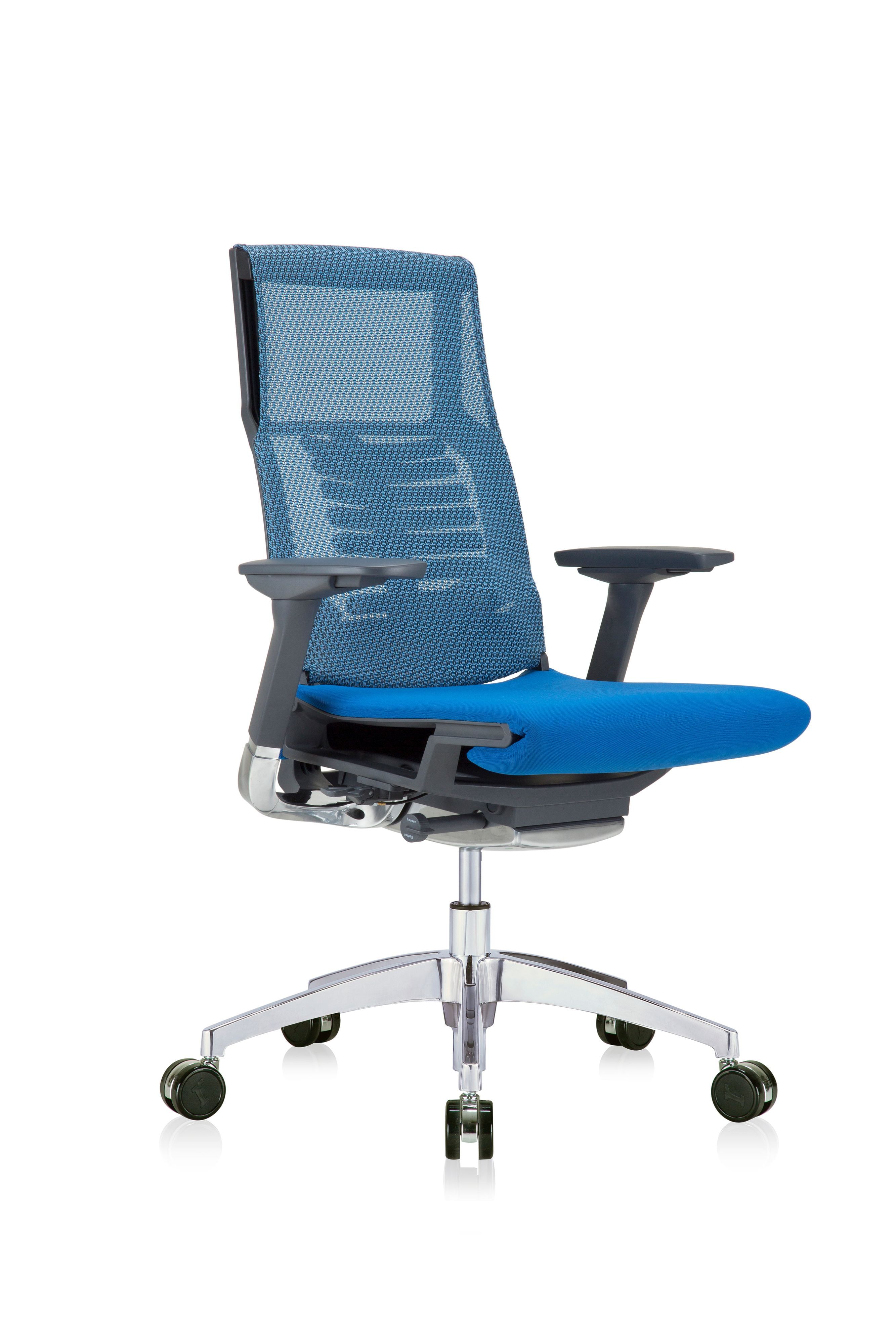 ErgoBlue Adjustable High-Back Executive Mesh Chair with Smart Cushion