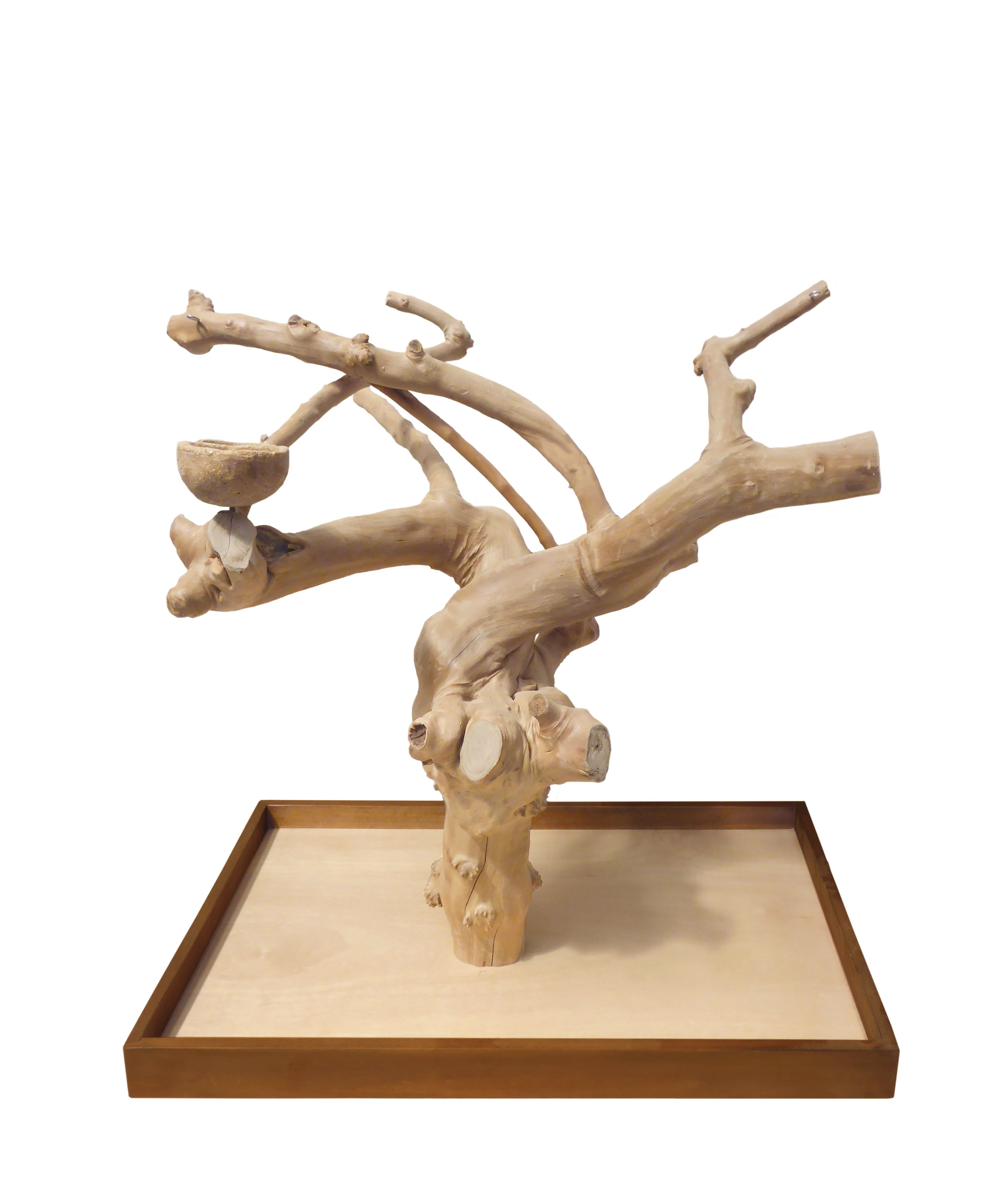 Large Natural Coffeawood Table Top Bird Playstand