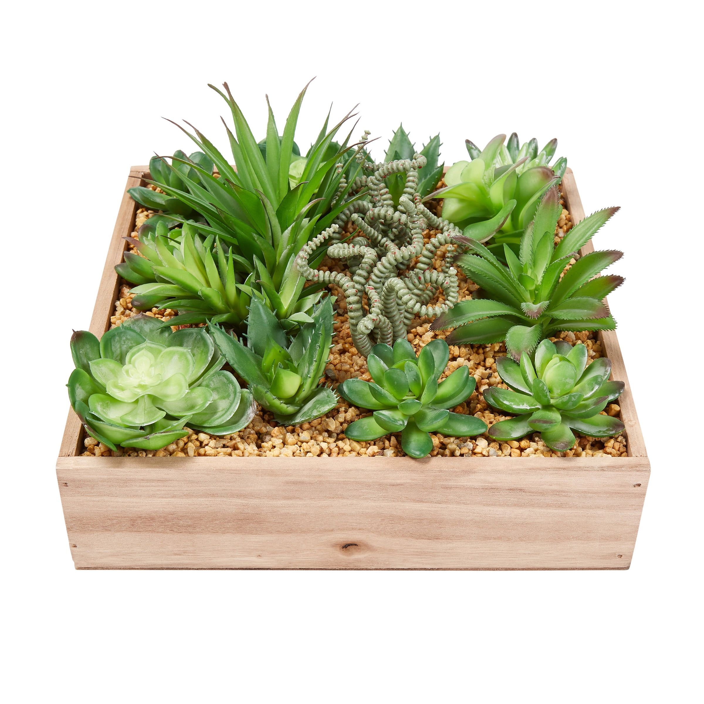 10-inch Assorted Faux Succulent Arrangement in Wooden Box