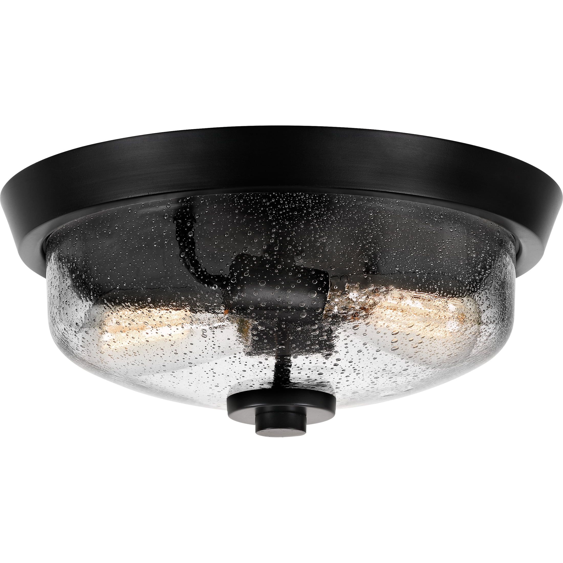 Radius Black Glass 2-Light Indoor/Outdoor Flush Mount Ceiling Light