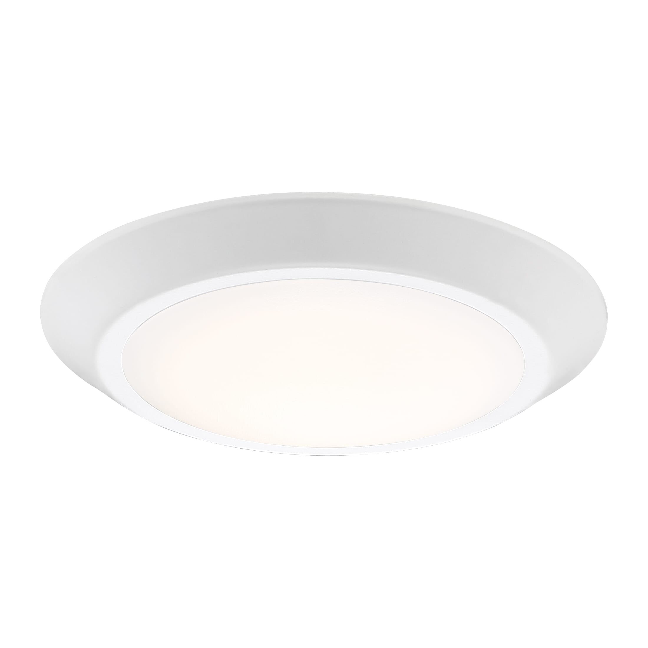 White Glass LED Indoor/Outdoor Flush Mount Light