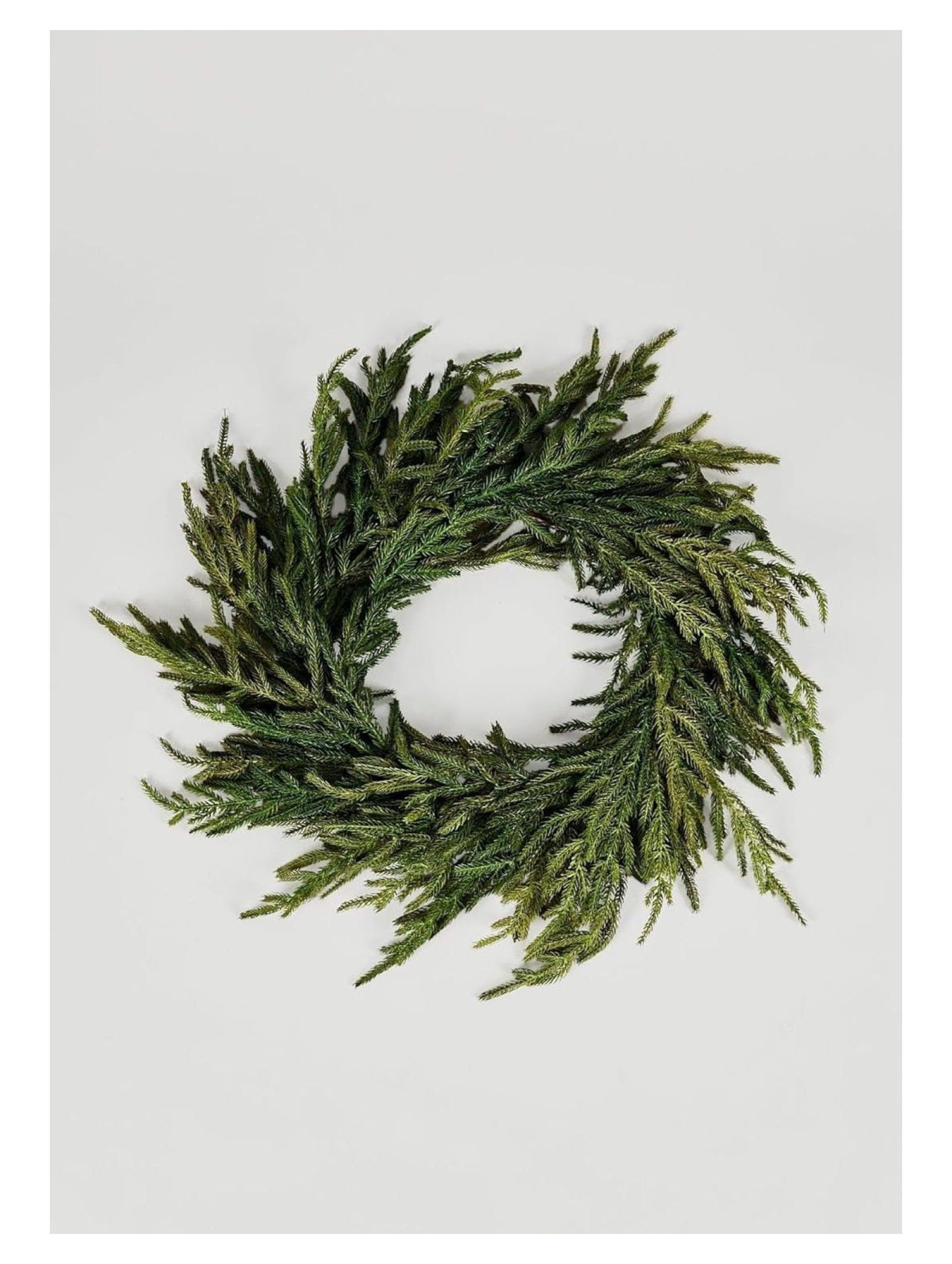 24" Green Artificial Norfolk Pine Christmas Wreath with Grapevine Base