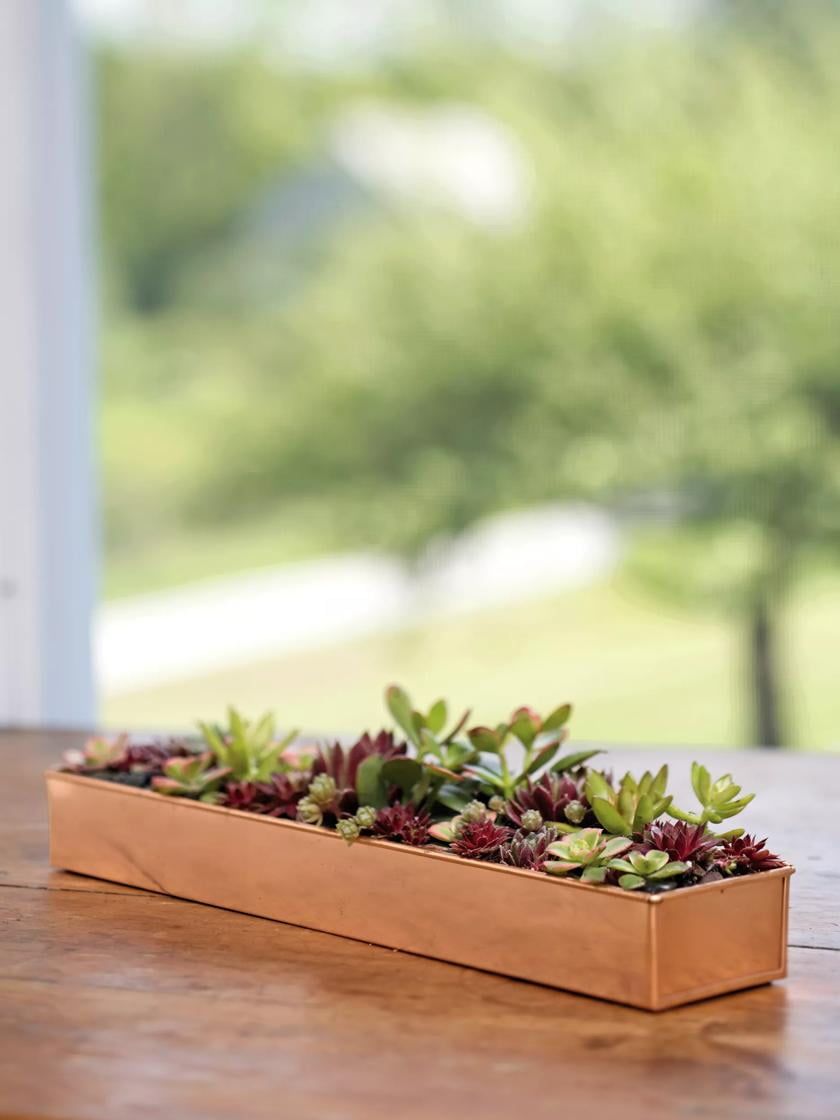 Rectangular Copper-Plated Steel Plant Tray for Indoor and Outdoor Use