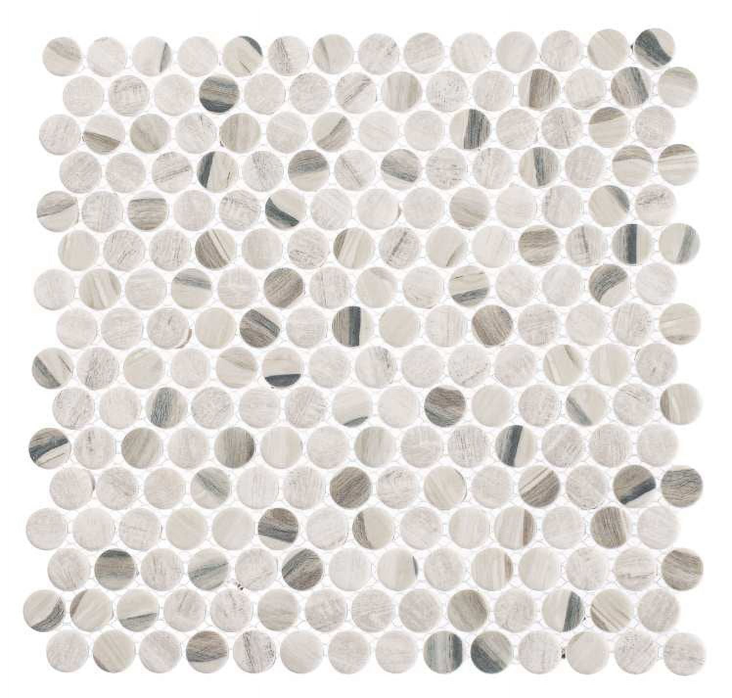 Pi Gray 4x8 Matte Glass Penny Mosaic Tile