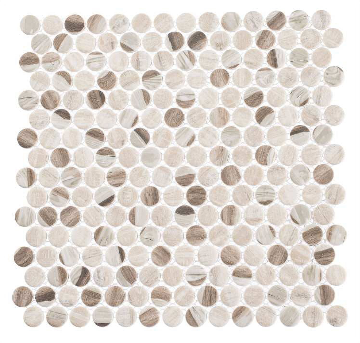 Josen Tan and Brown Glass Penny Round Mosaic Tile Sample