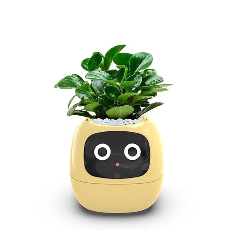 Yellow AI-Enhanced Smart Planter with Sensors and Display