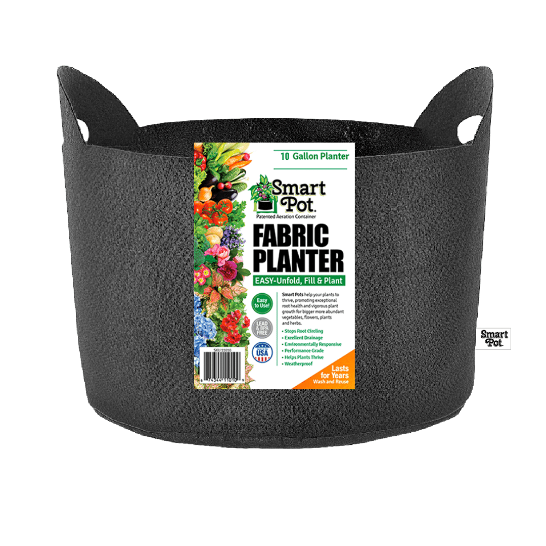 10 Gallon Black Fabric Grow Bag with Handles