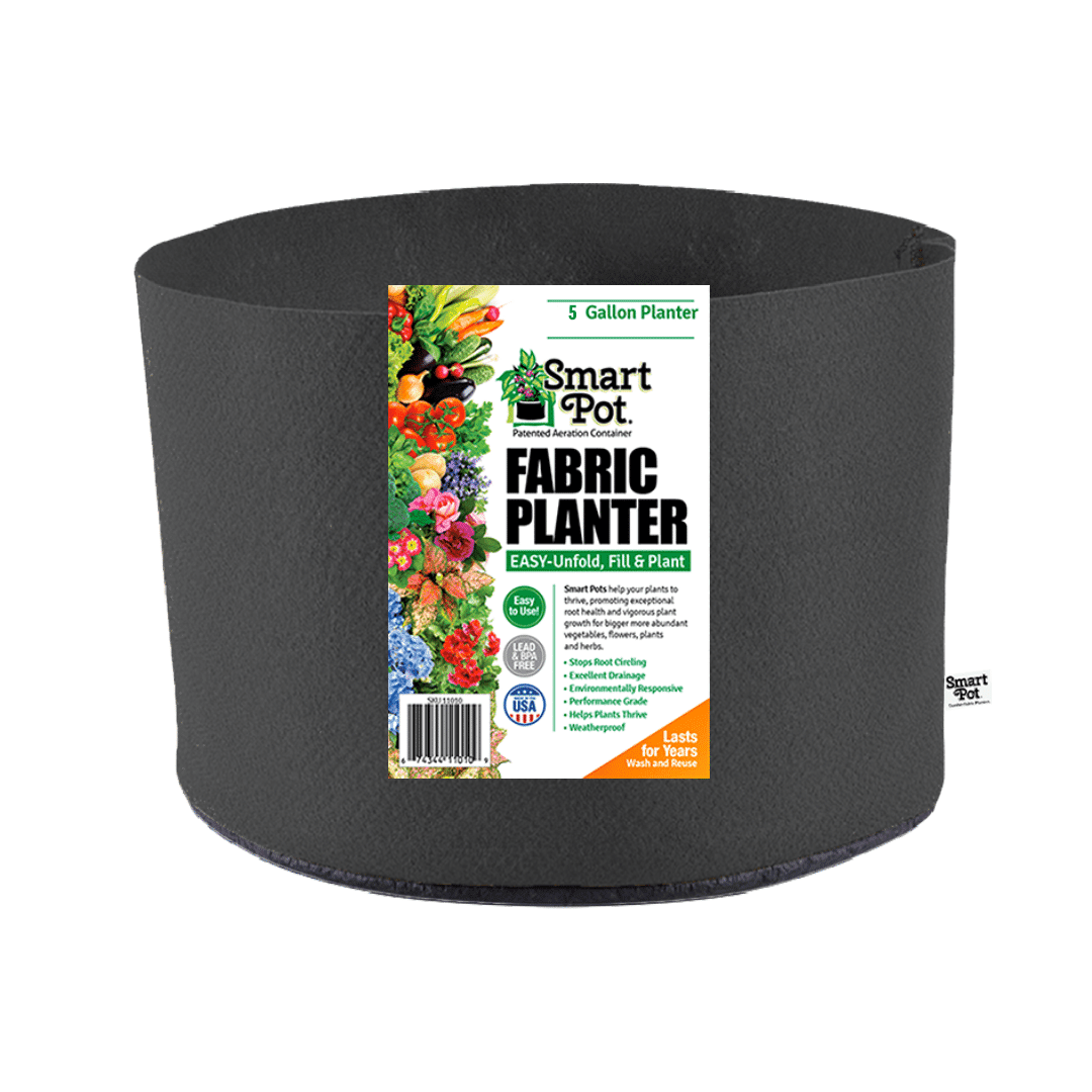 5 Gallon Black Fabric Aeration Planter