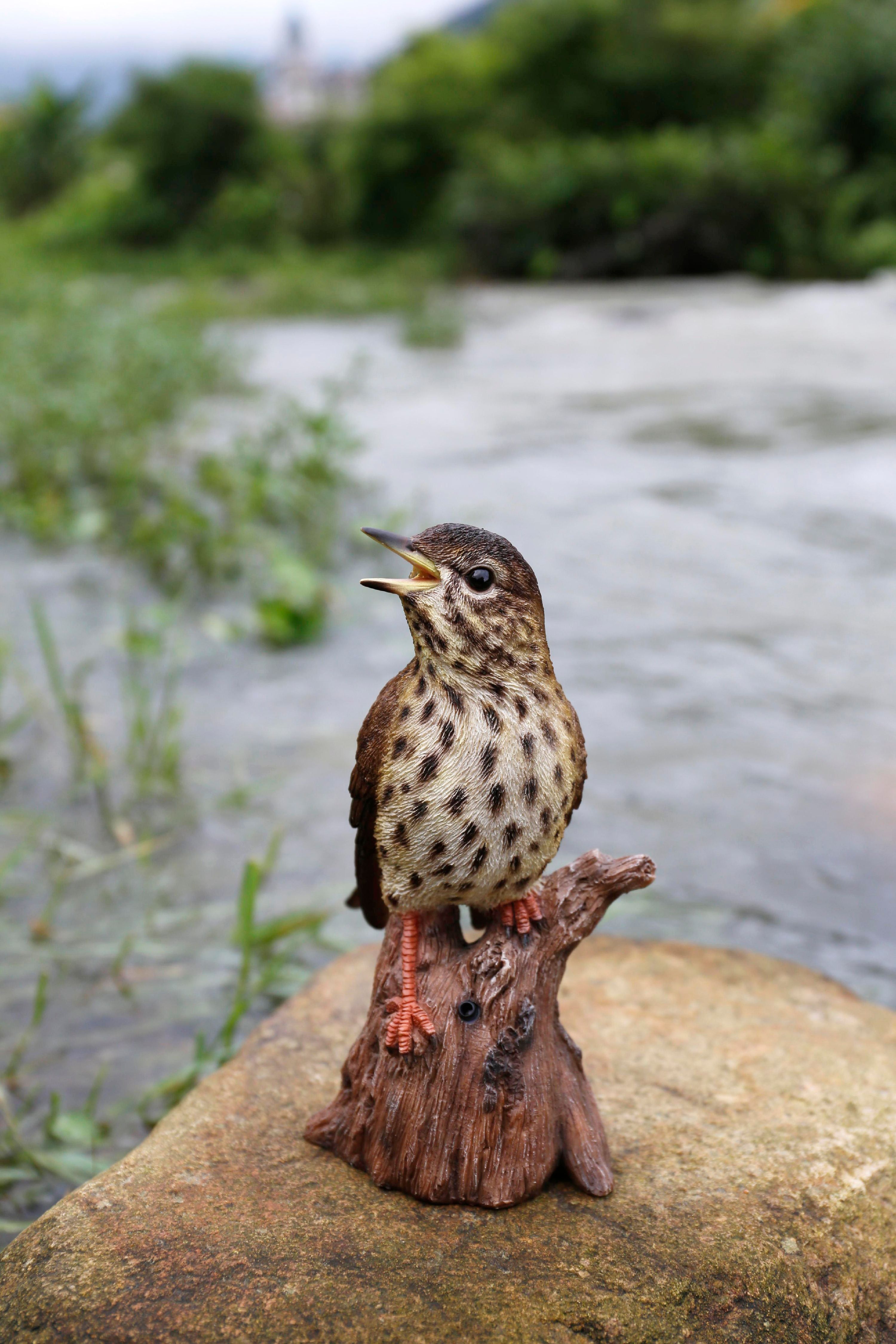 Brown Polyresin Songbird on Stump with Motion Sensor