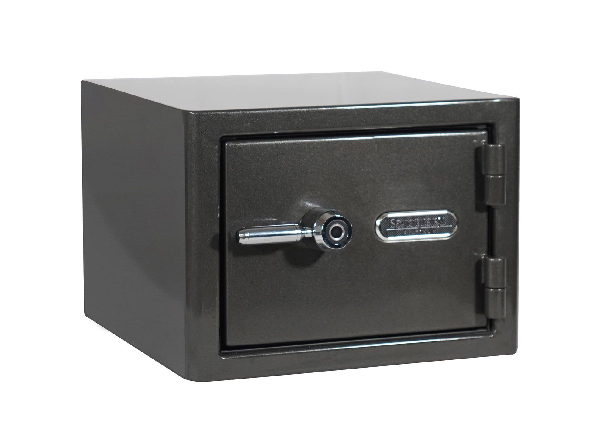 Platinum Dark Gray Biometric Fireproof Waterproof Safe, 1.07 Cu. Ft.