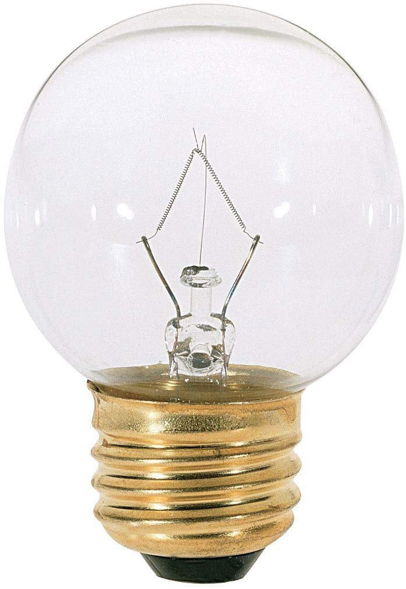 Edison-Inspired Clear Tungsten Filament G16 1/2 Decorative Bulb