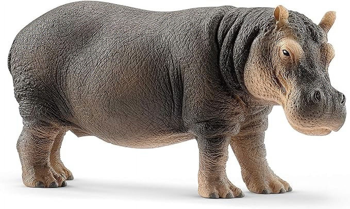 Realistic Grey Hippopotamus Educational Toy Figurine