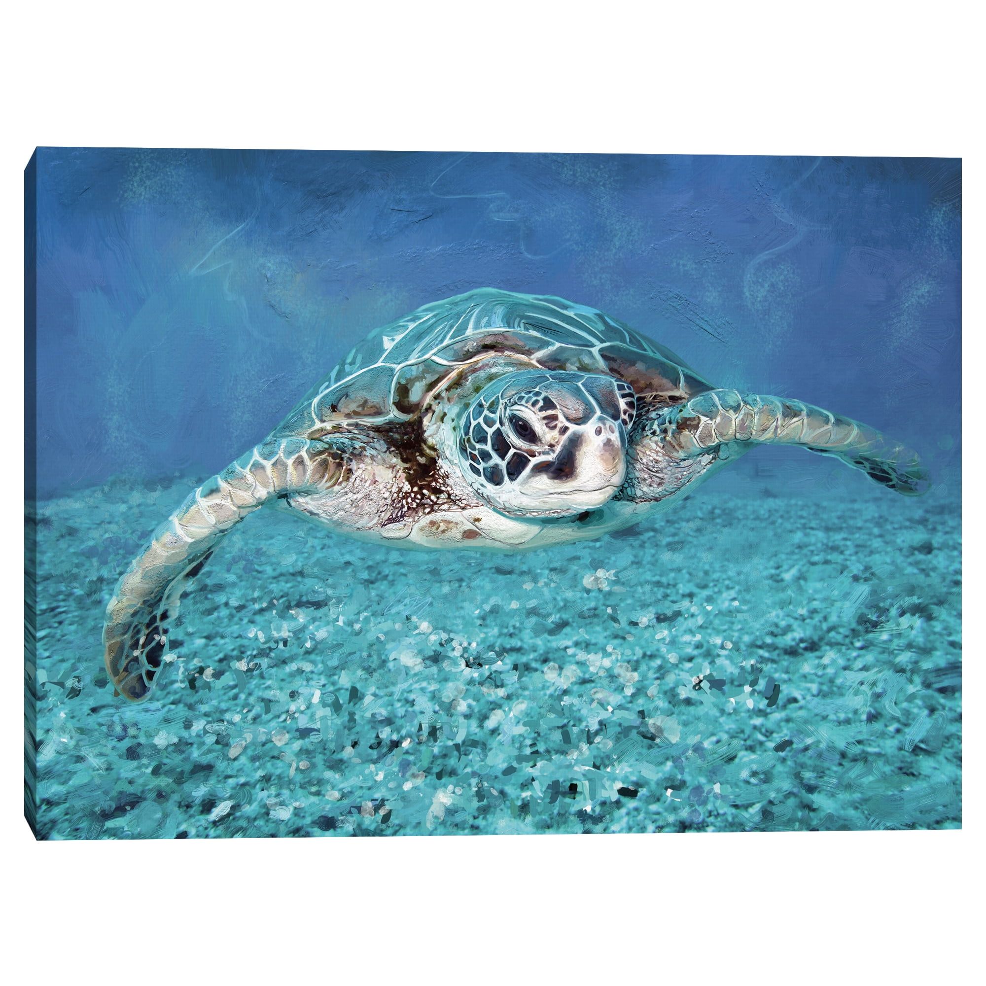 Coastal Sea Turtle Canvas Art Print for Kids