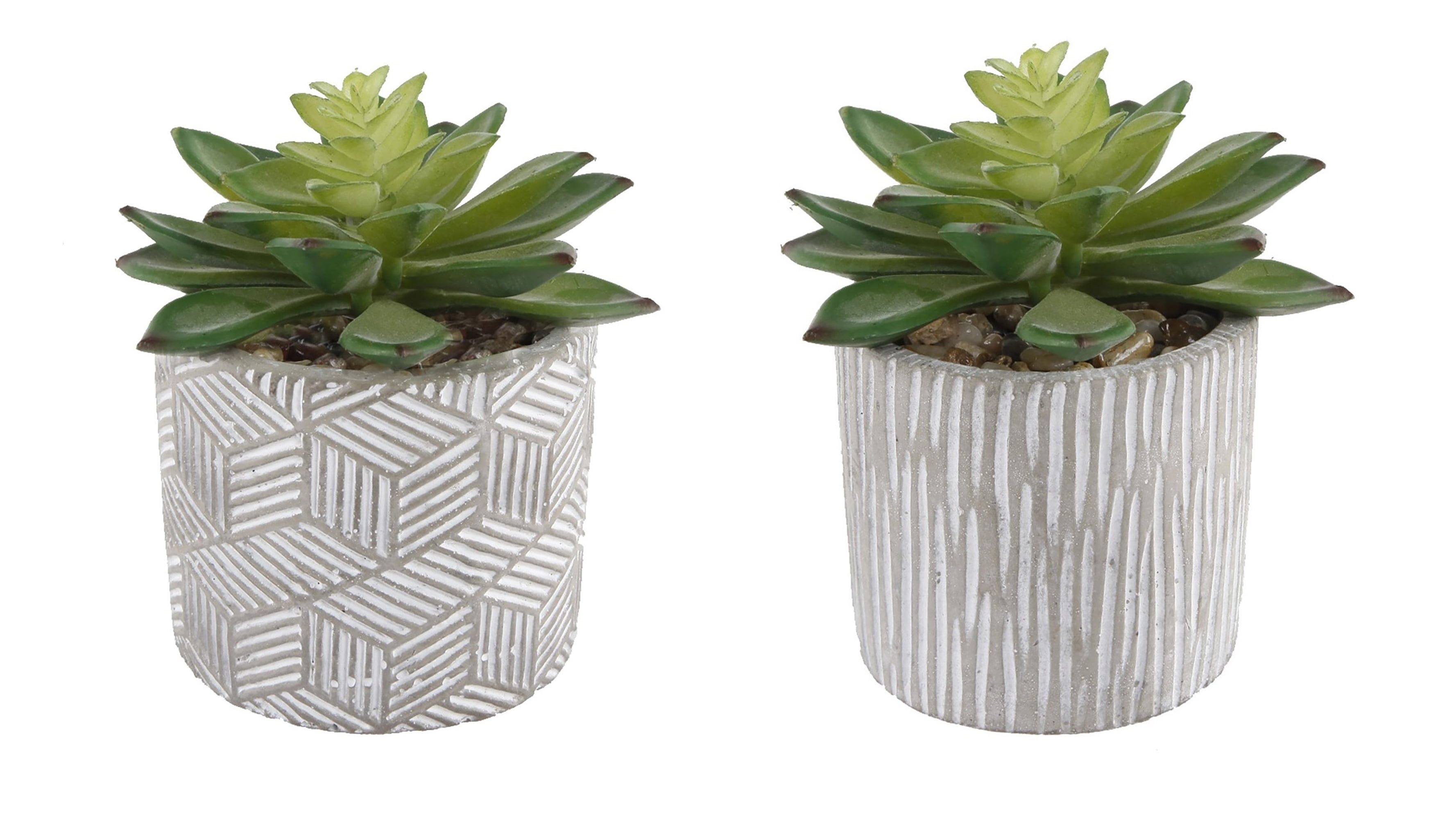 Valentine's Day Faux Succulent Duo in Artisan Cement Pots