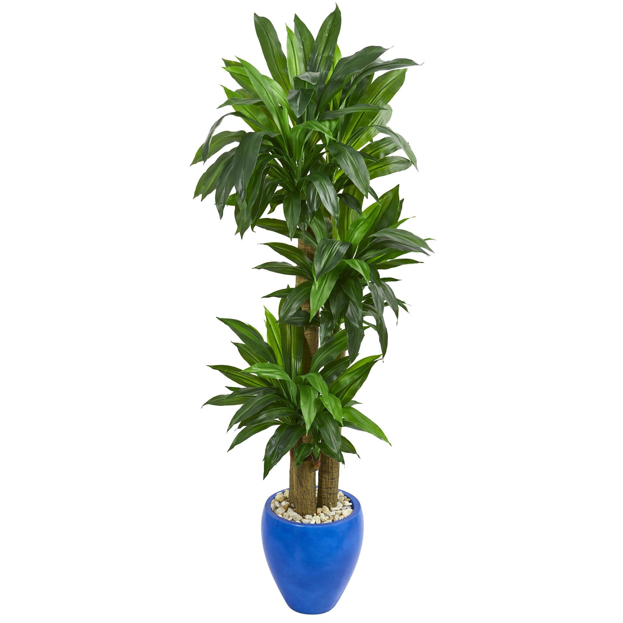 Lush Green 6ft Silk Cornstalk Dracaena in Deep Blue Planter