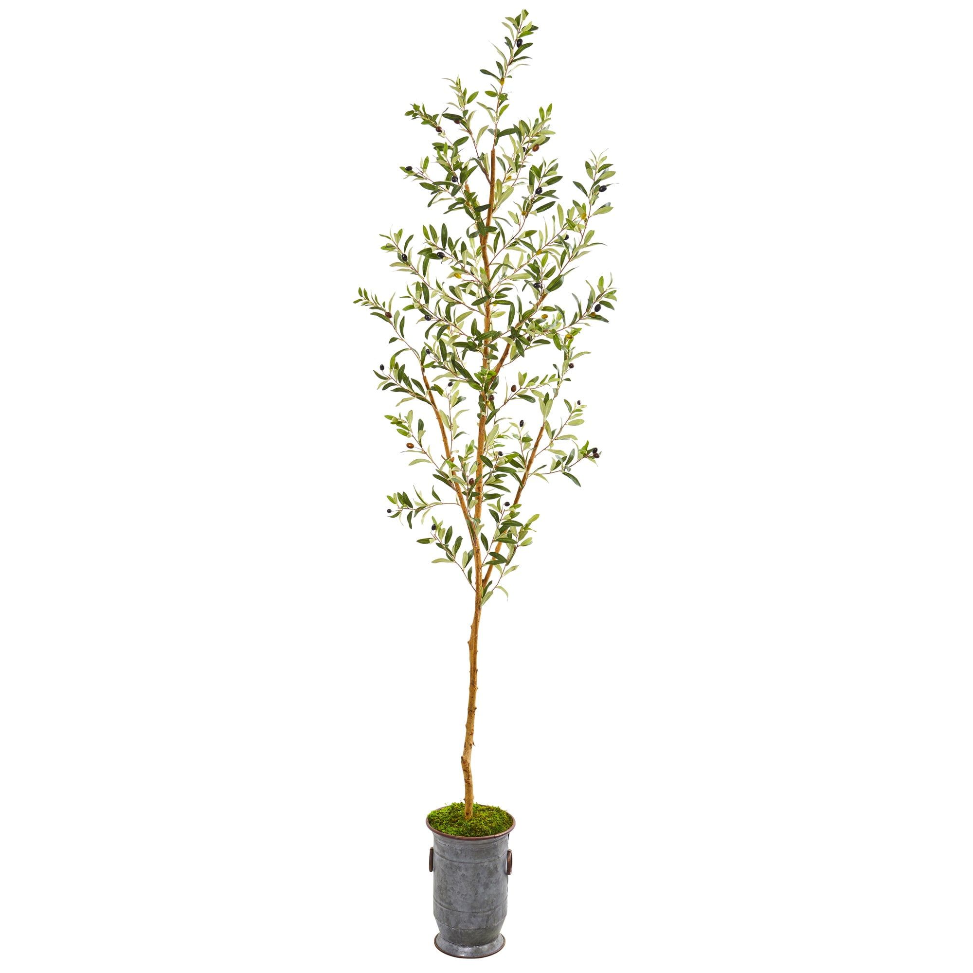 7.5' Green Silk Olive Tree in Decorative Planter