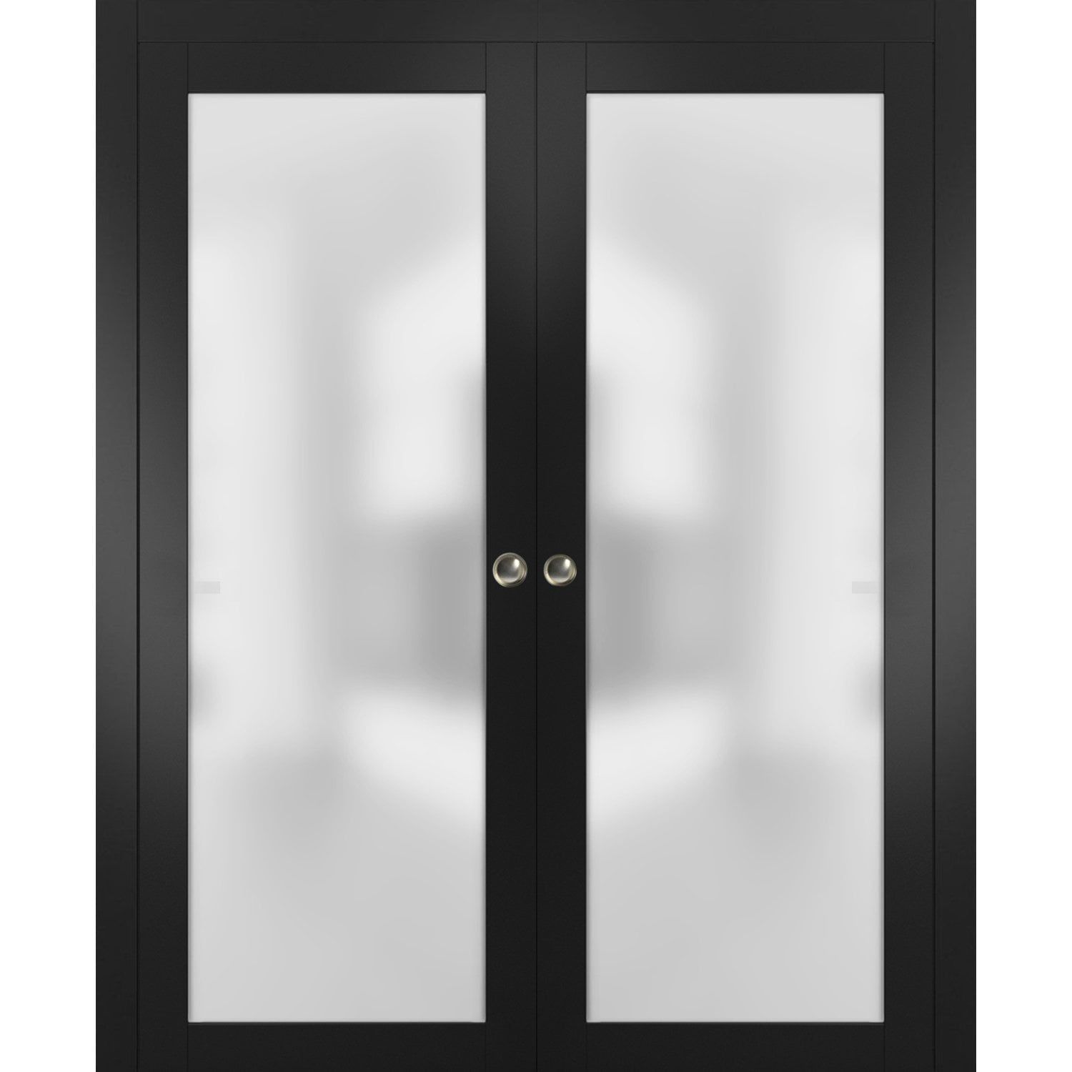 Black Double Sliding Pocket Door with Frosted Glass Panels