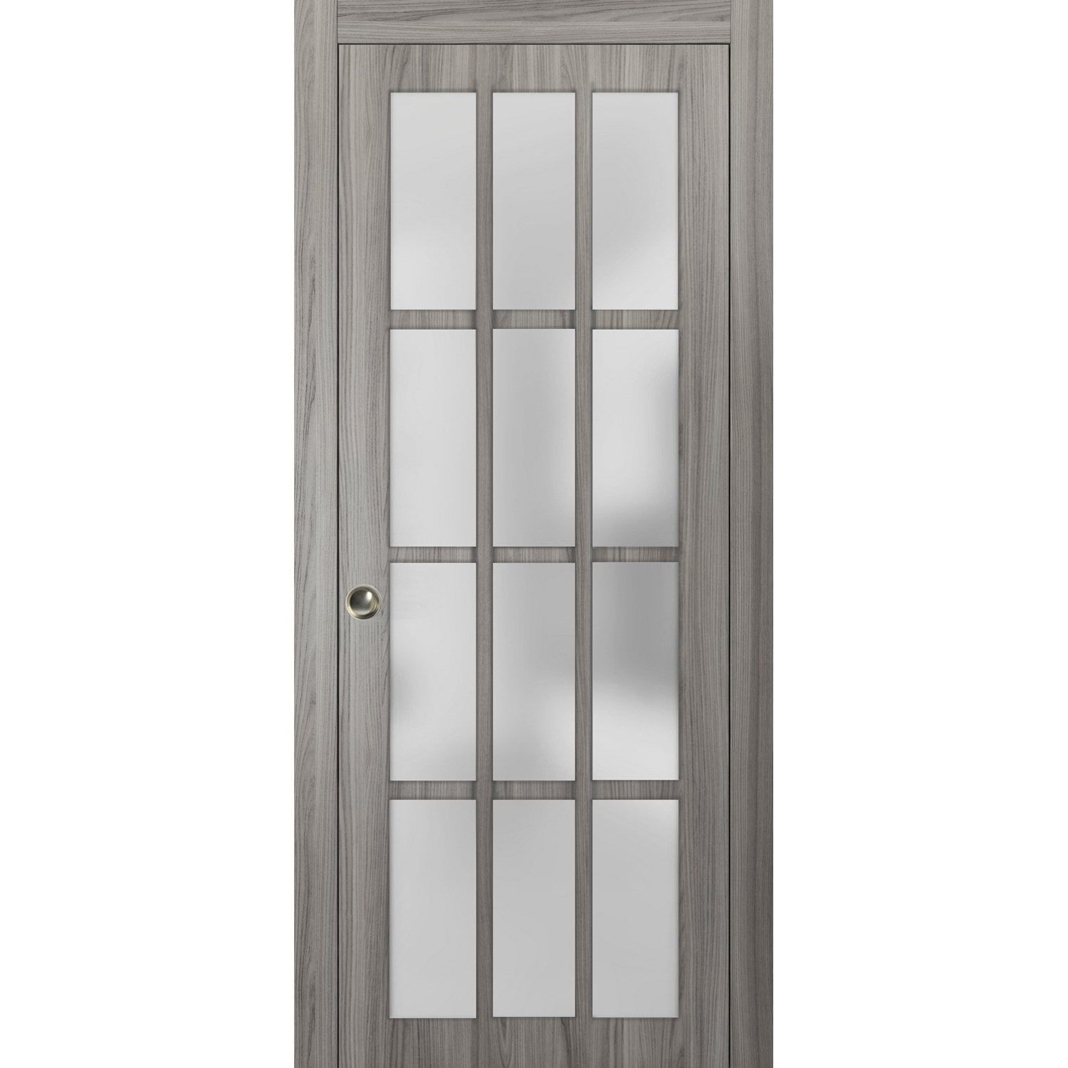 Gray 32 x 84 Inch French Pocket Door with Frosted Glass