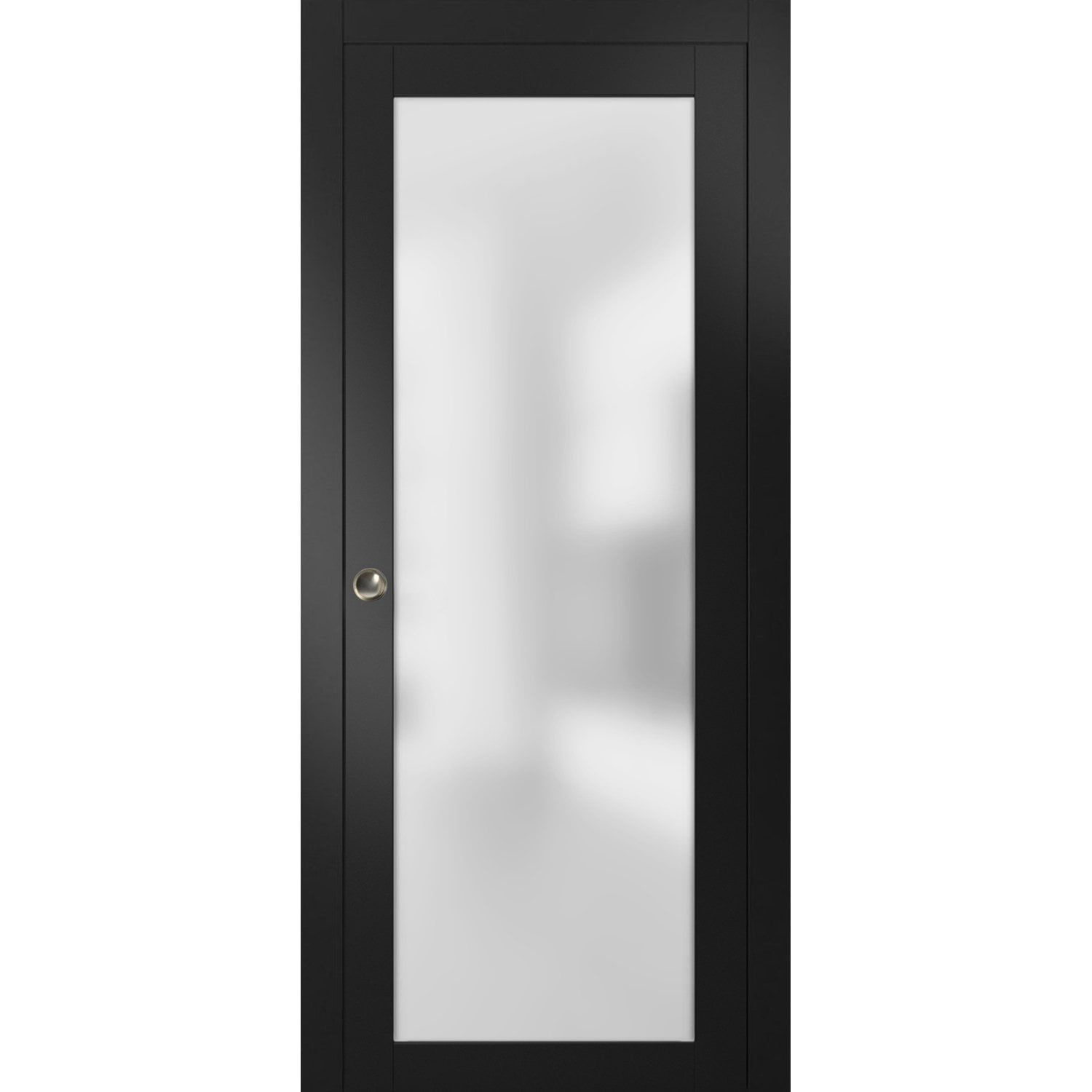 Black Sliding Pocket Door with Frosted Glass Panel