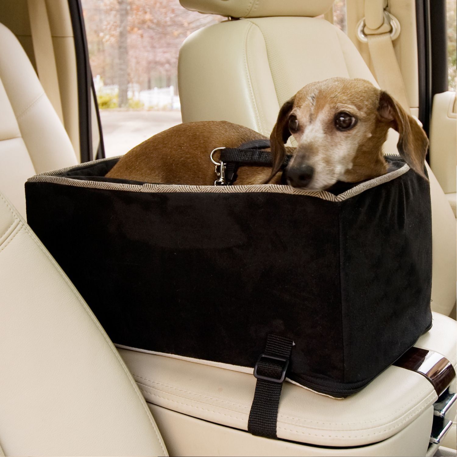 Large Black Soft-Sided Dog Car Console Carrier