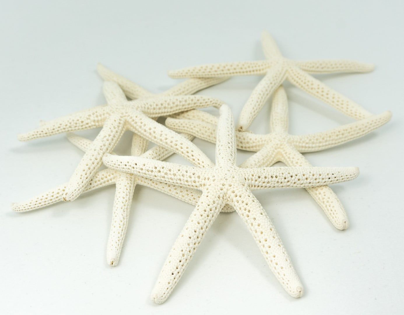 Natural White Finger Starfish Coastal Decor Set