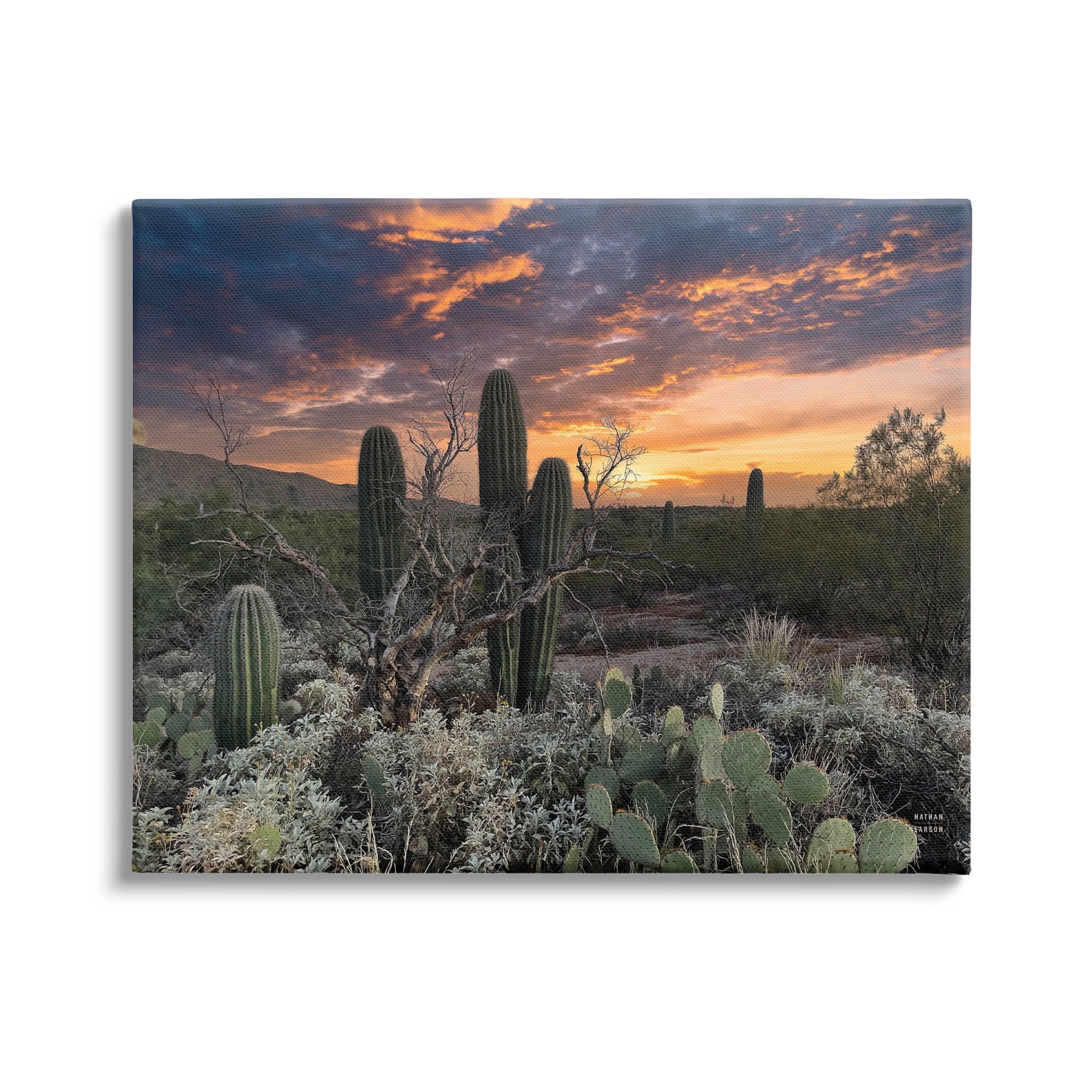 Arid Desert Cactus Sunset Landscape Canvas Print