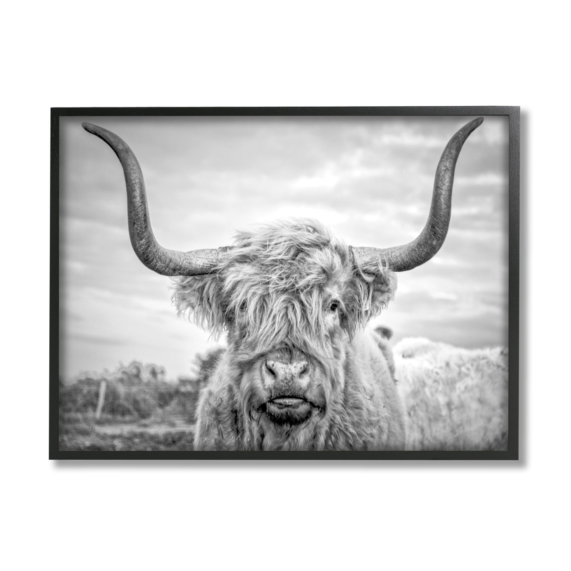 Black Framed Black and White Highland Cow Wall Art