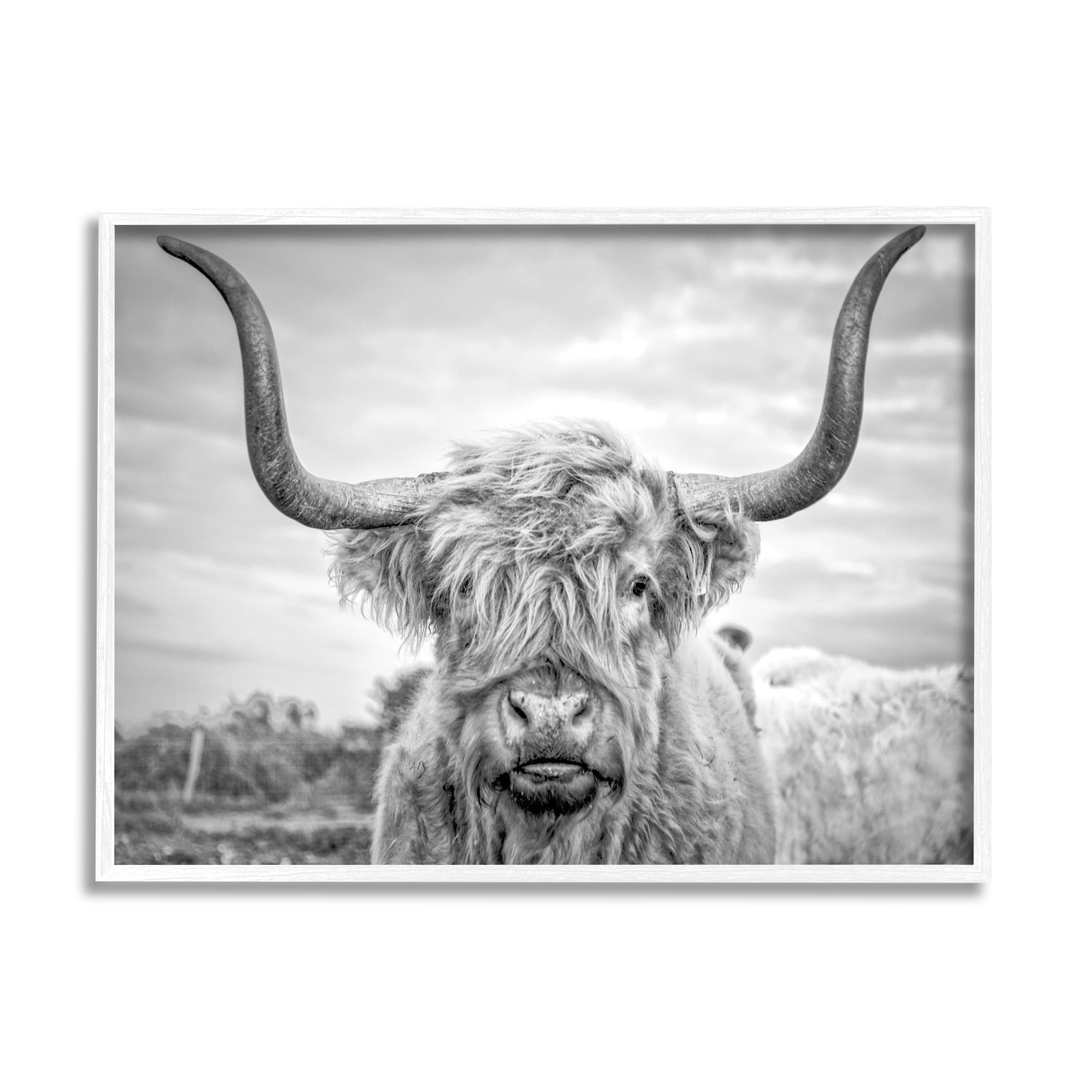 Black and White Highland Cow Framed Canvas Print, 16 x 20