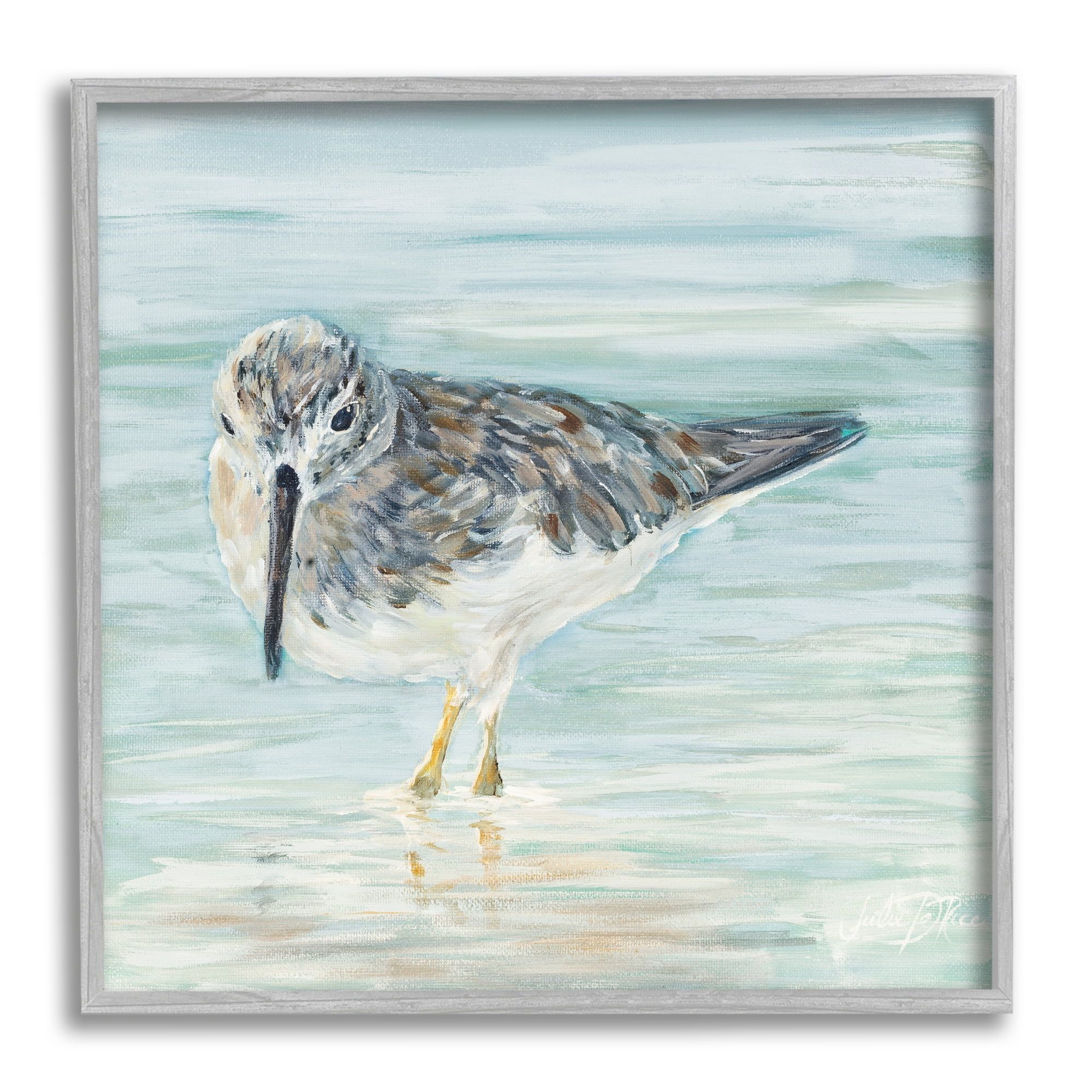 Gray Framed Sandpiper Bird Canvas Print, 12 x 12