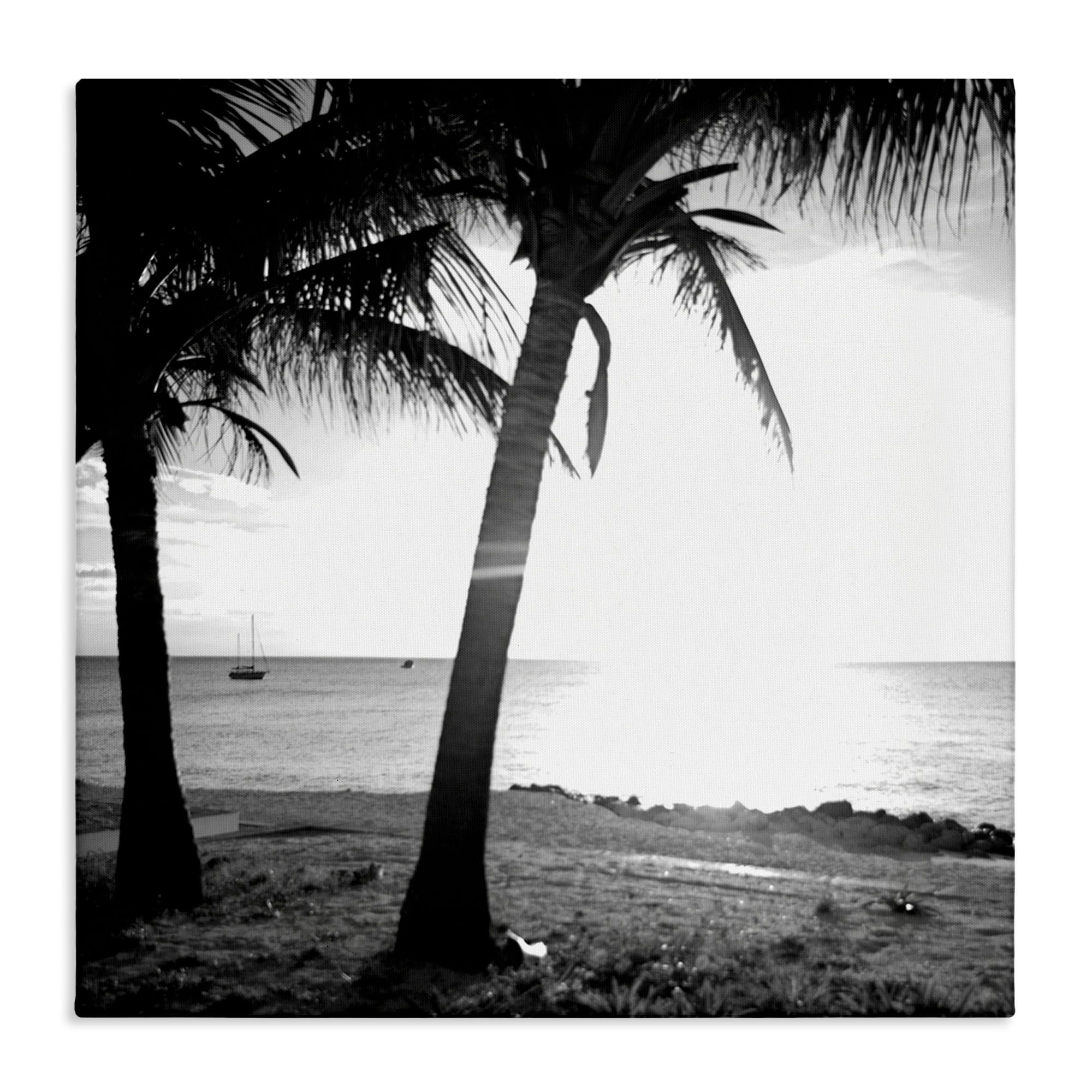 Black and White Coastal Palm Tree Canvas Print, 17 x 17