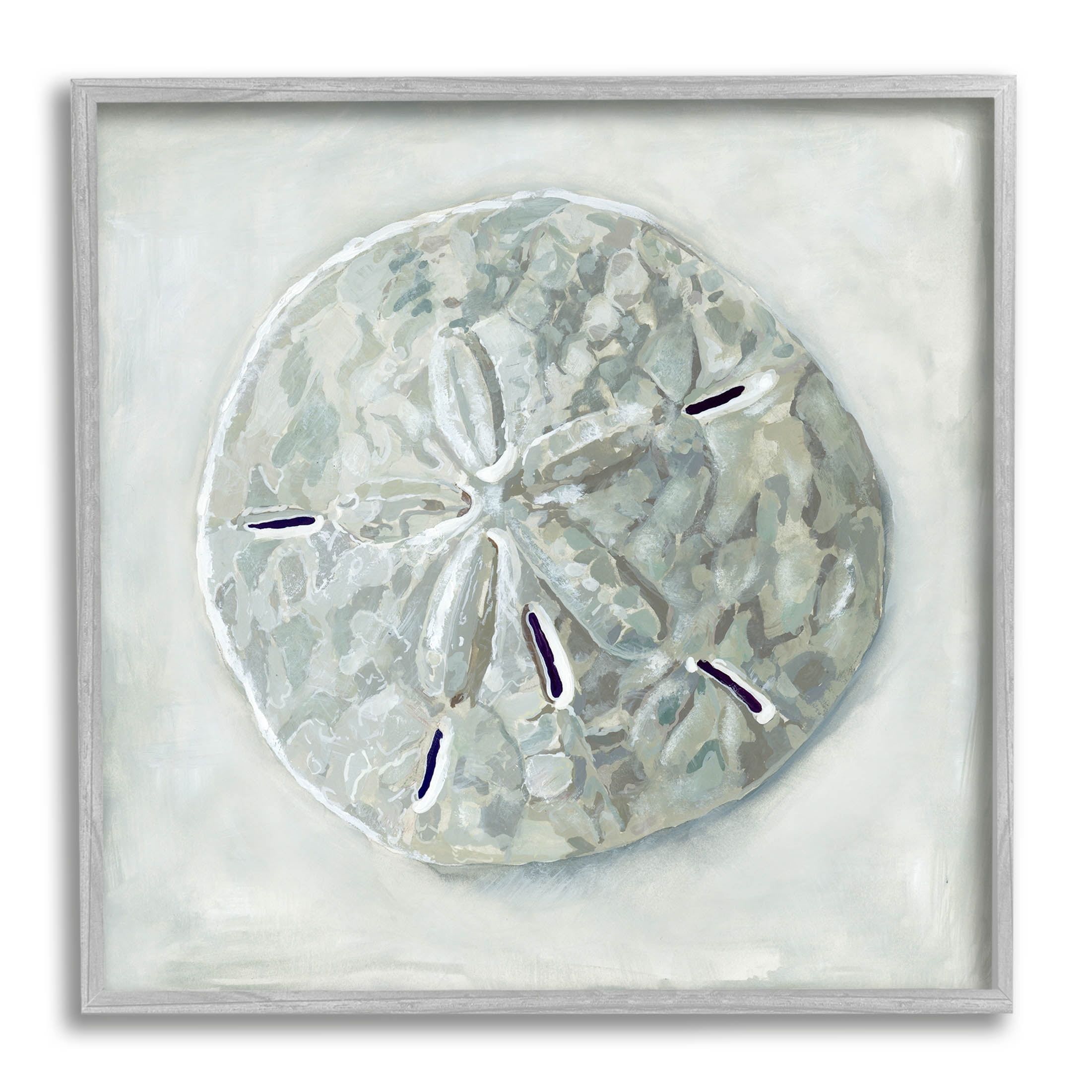 Gray Framed Sand Dollar Seashell Canvas Print, 13 x 18 in