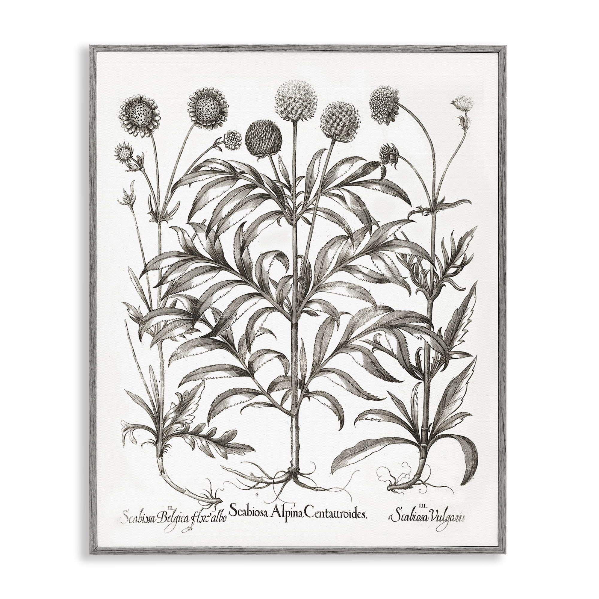 Gray Framed Botanical Floral Print Wall Art, 11 x 14