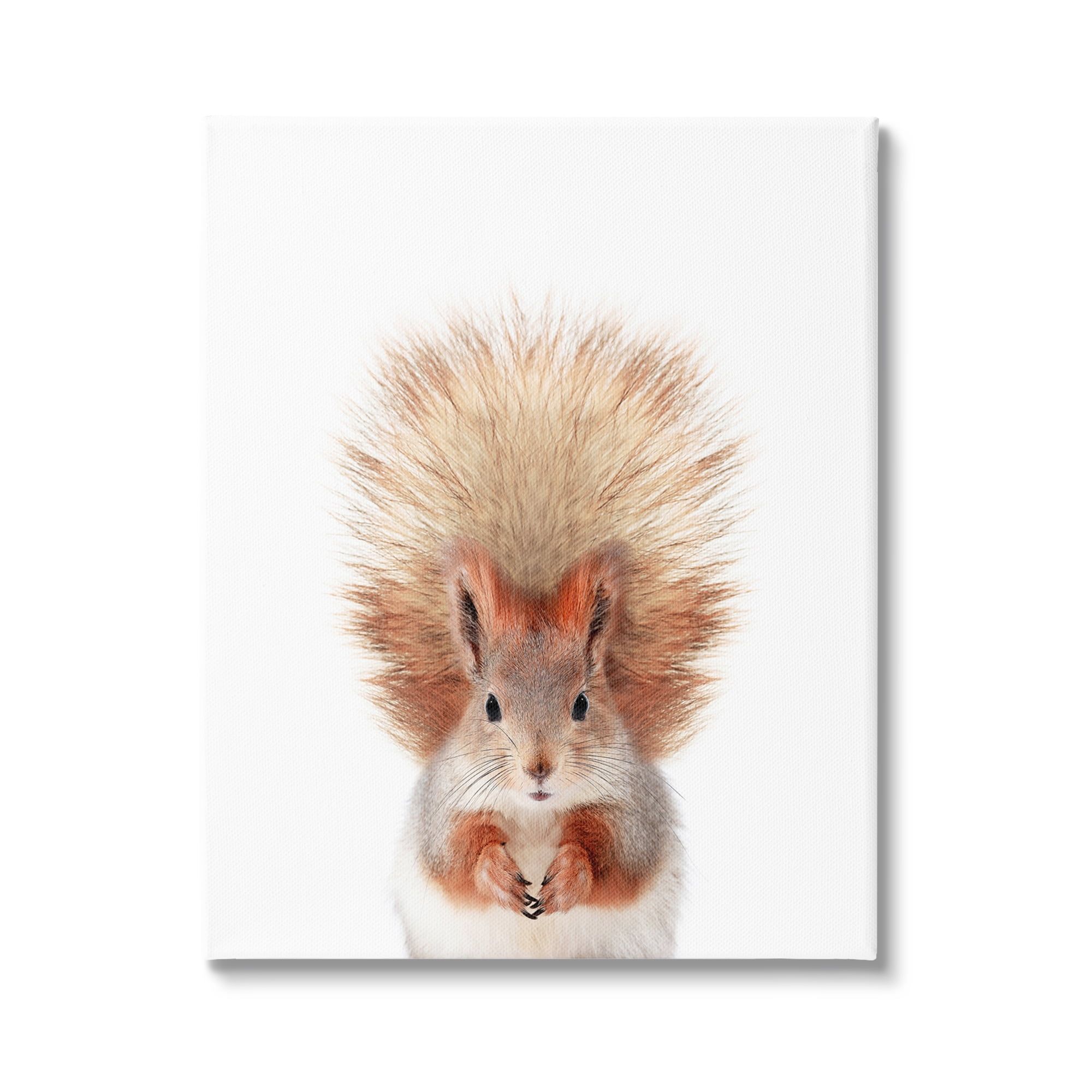 Squirrel Wildlife Portrait Canvas Wall Art for Nursery, 16 x 20