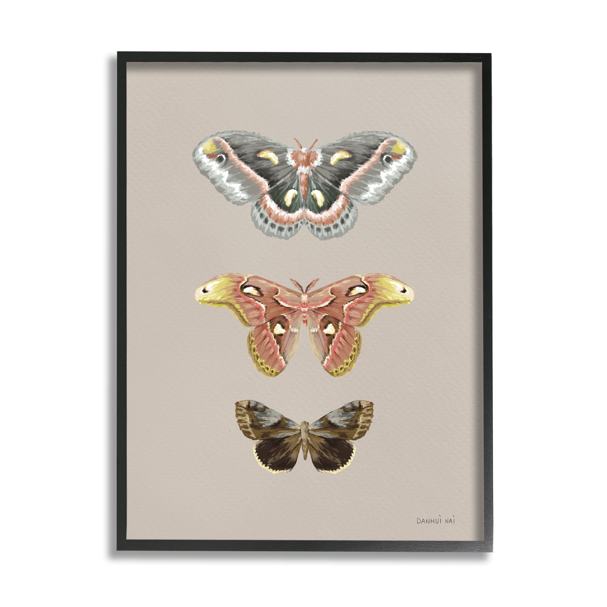 Vintage Moth Specimens Print on Canvas with Black Frame