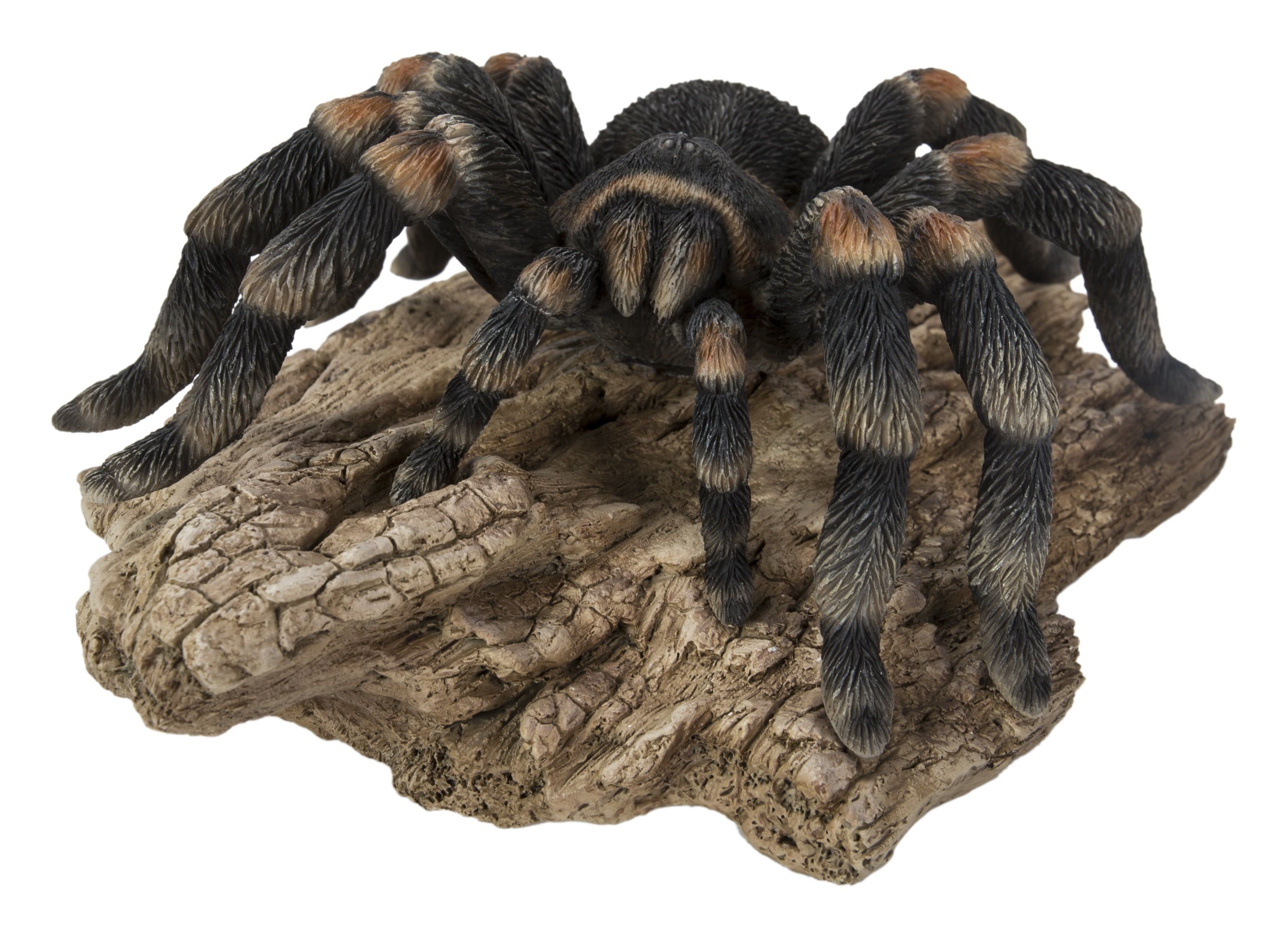 Realistic Black Polyresin Tarantula Statue on Rock