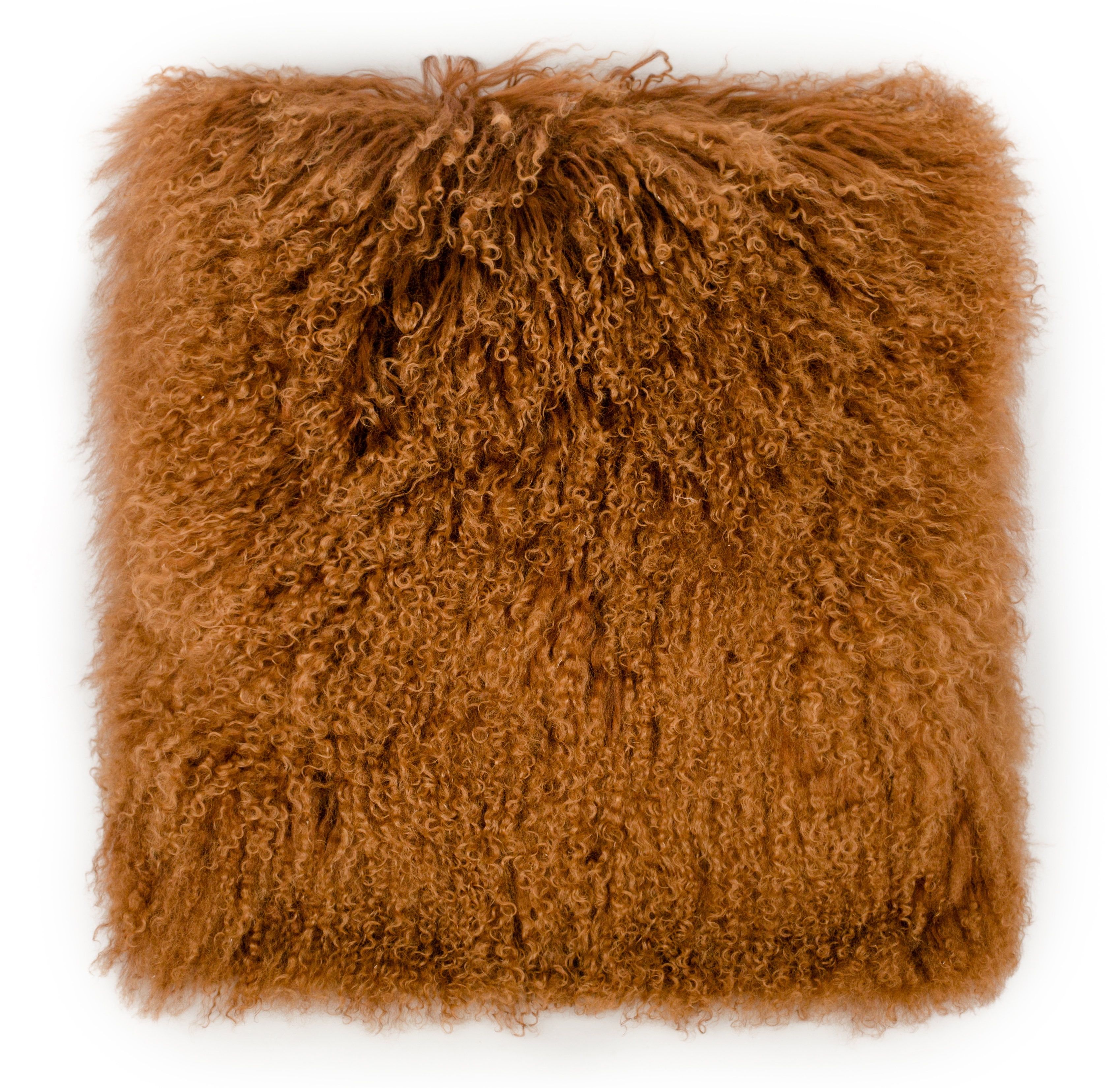 Modern Brown Tibetan Sheep Fur Accent Pillow