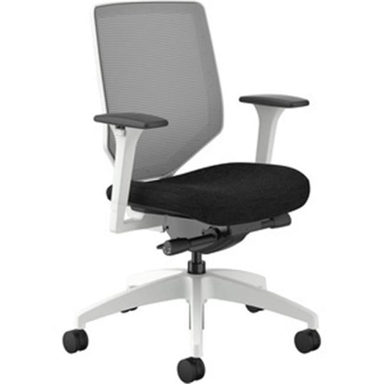 Fog Mesh & Black Fabric Adjustable Task Chair with Lumbar Support