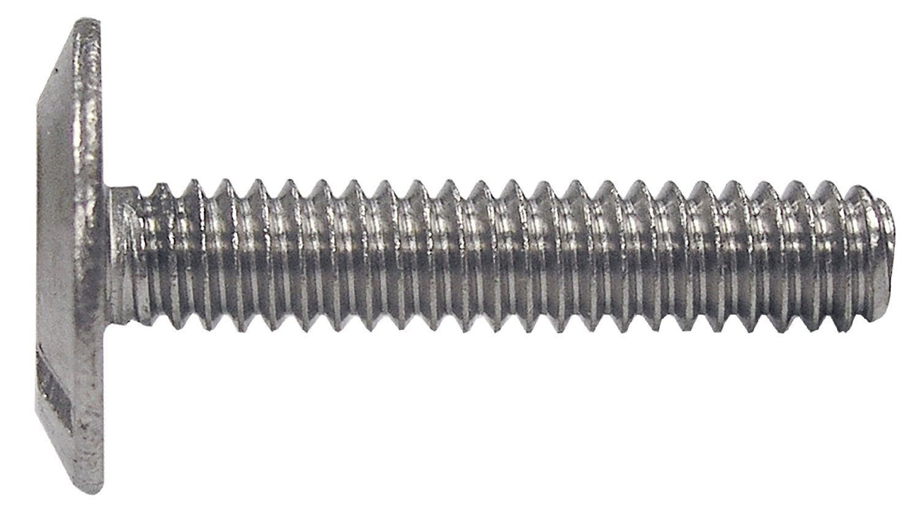 Stainless Steel 1/4" x 1" Hurricane Bolts, 25-Pack