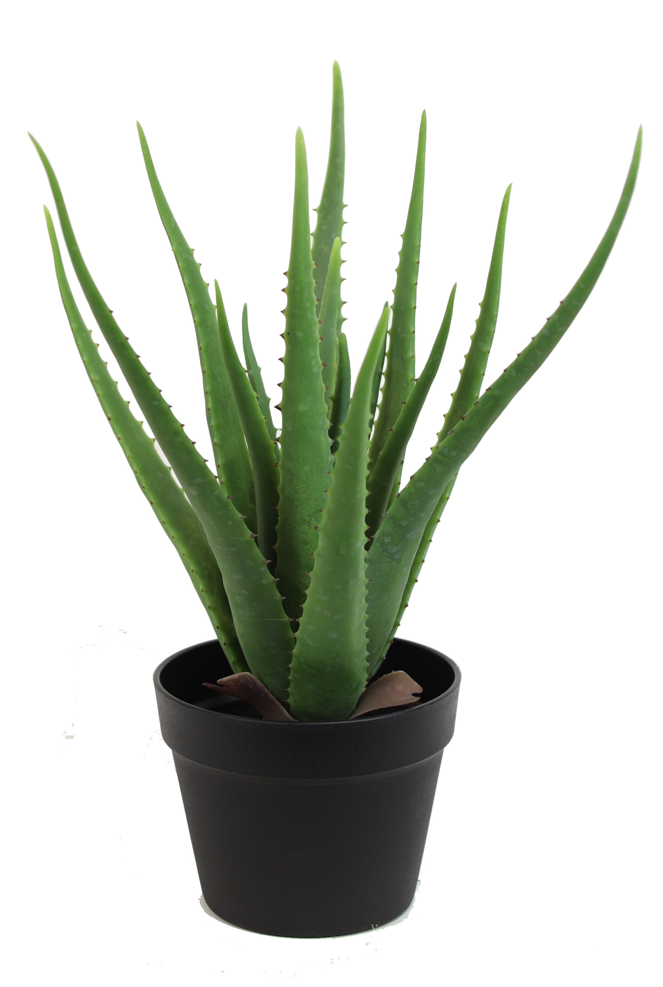 19" Green Artificial Aloe Vera Plant in Black Pot